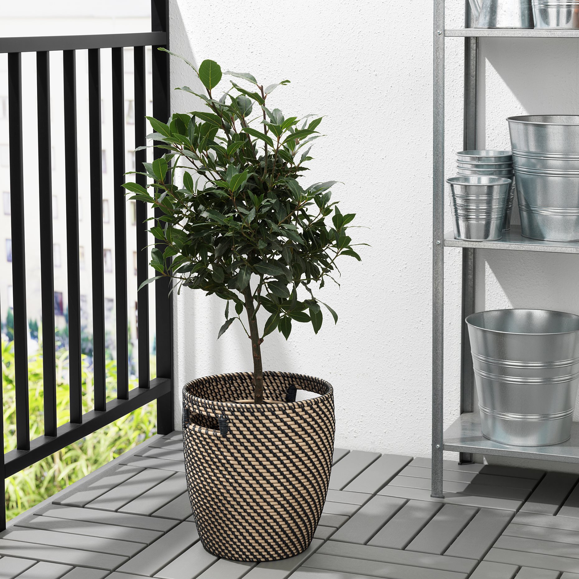 RÅGKORN, plant pot, in/outdoor, 004.075.56