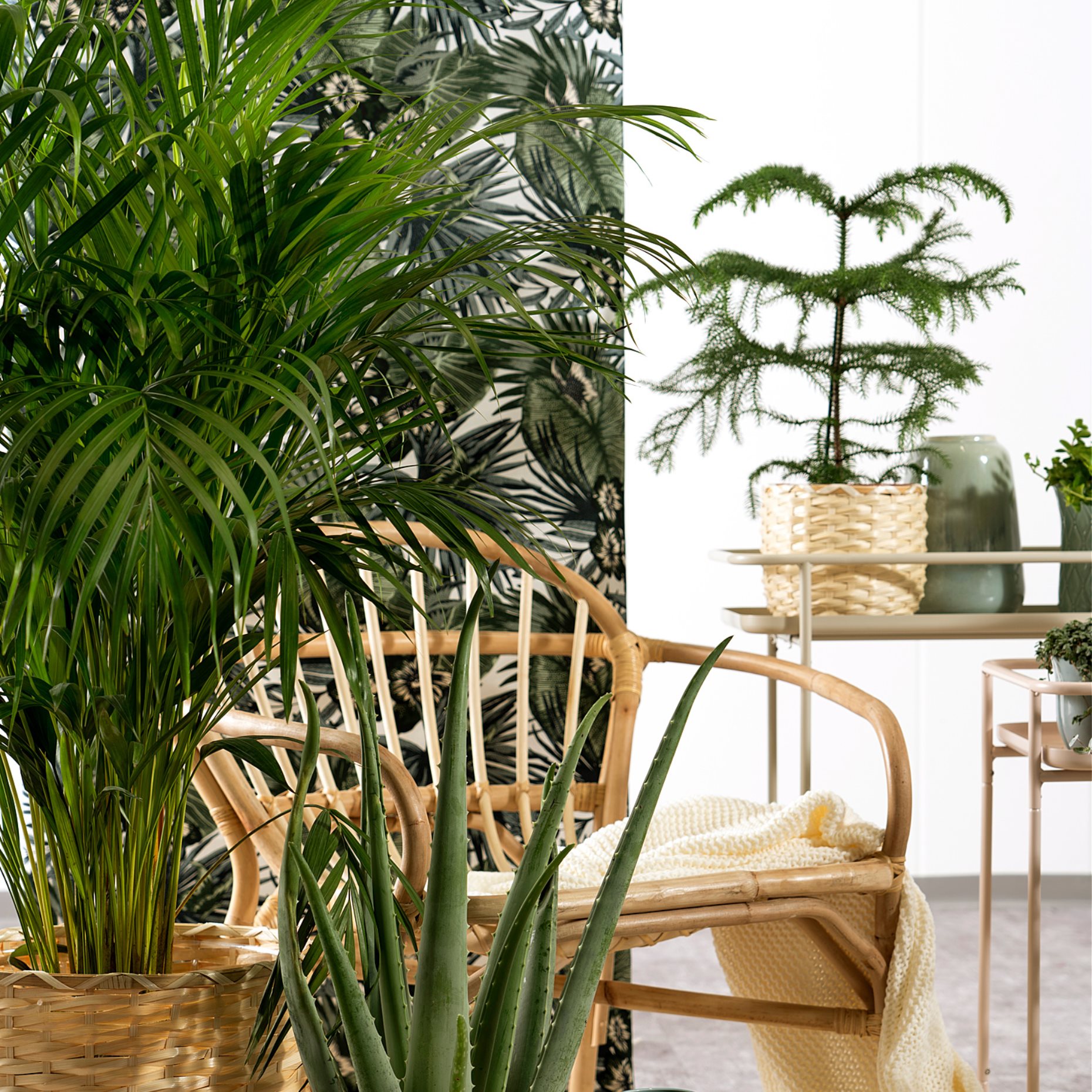 CHIAFRÖN, κασπό, 004.419.04