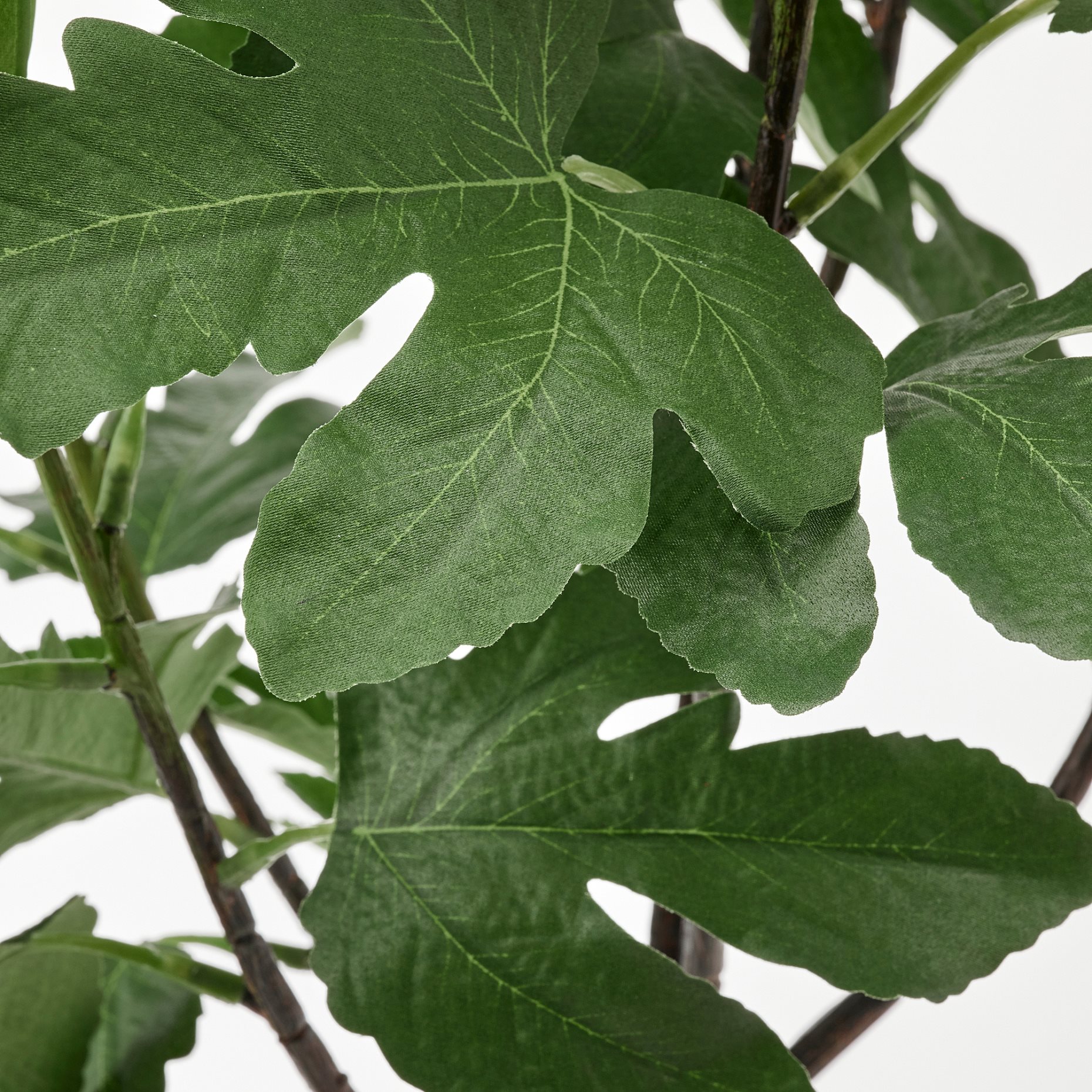FEJKA, τεχνητό φυτό σε γλάστρα εσωτερικού/εξωτερικού χώρου/Συκιά, 15 cm, 005.064.91