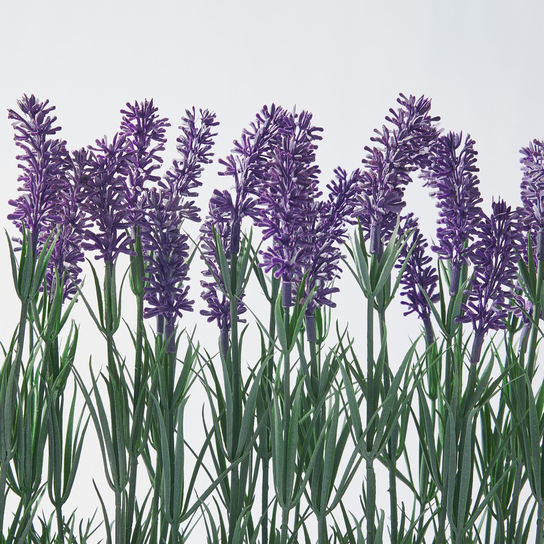 FEJKA, artificial potted plant with pot/in/outdoor Lavender, 005.863.55