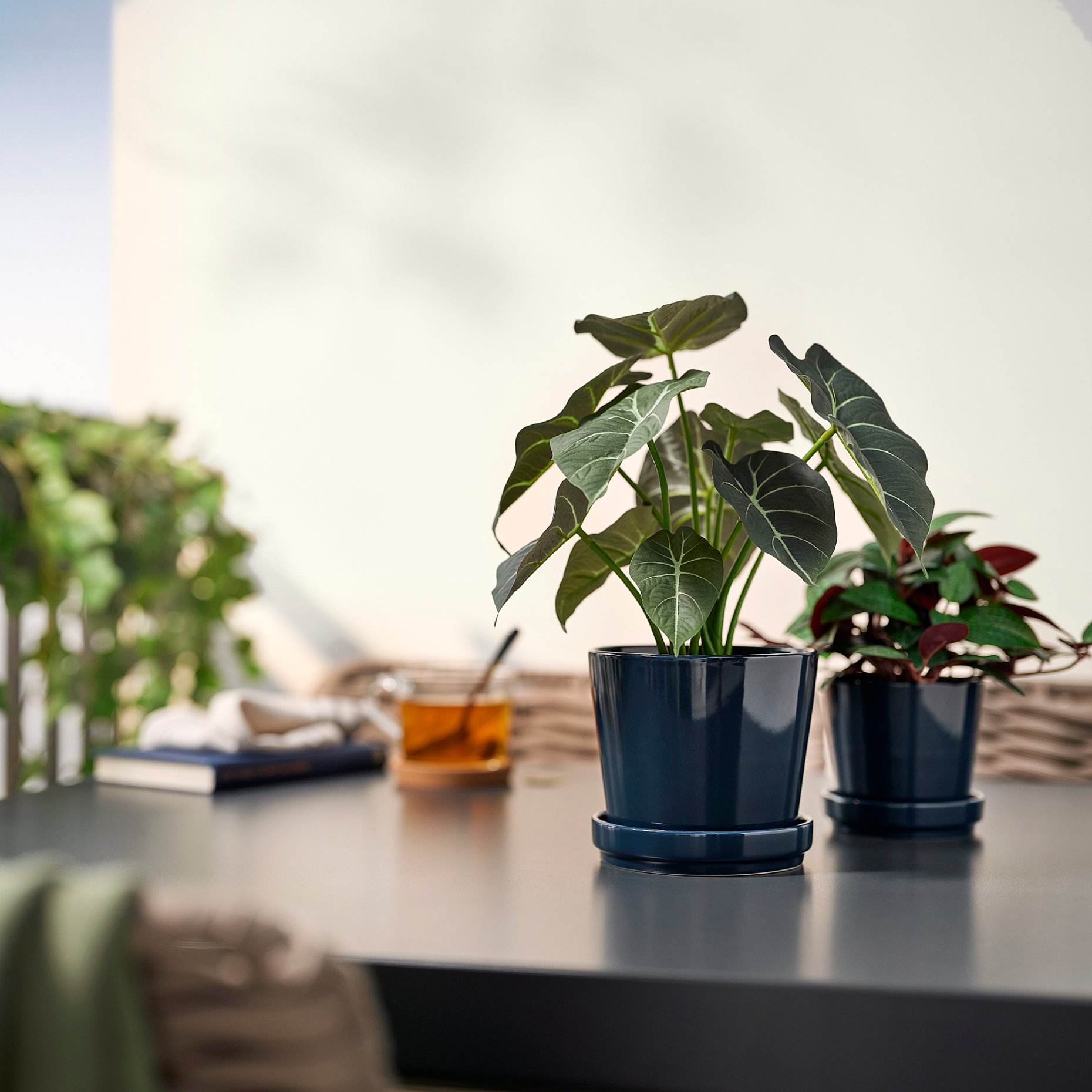 FEJKA, τεχνητό φυτό σε γλάστρα εσωτερικού/εξωτερικού χώρου/Αλοκάσια, 12 cm, 006.008.70