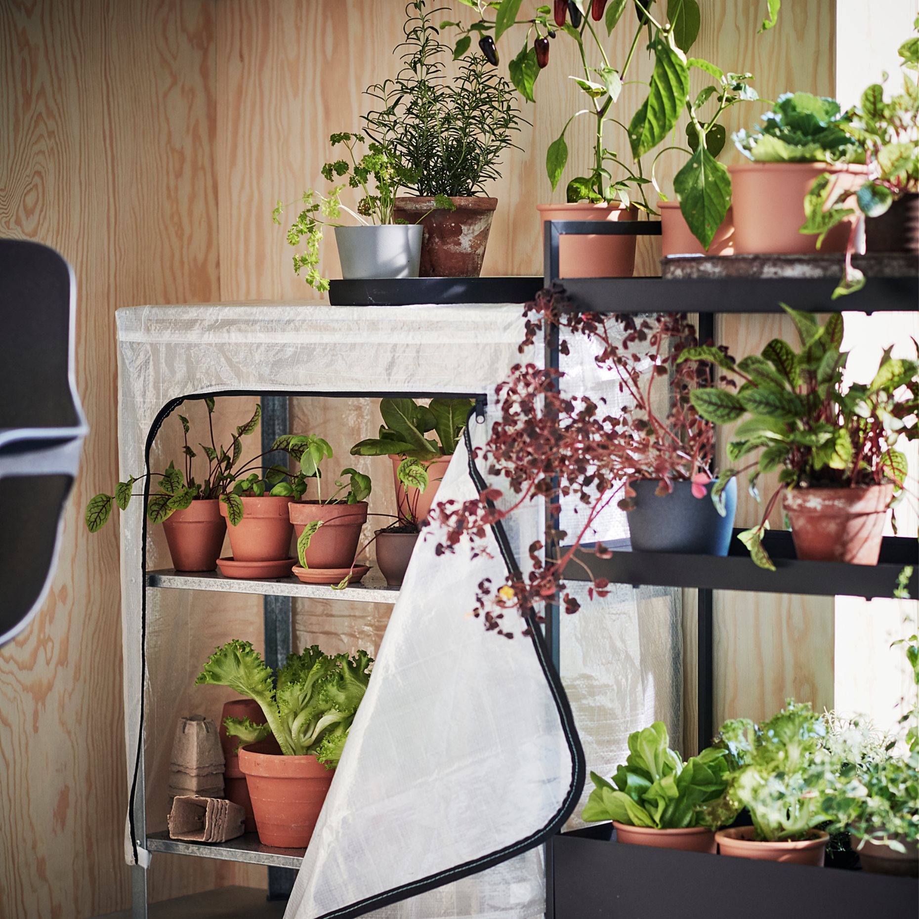 HYLLIS, cover, in/outdoor, 104.283.32