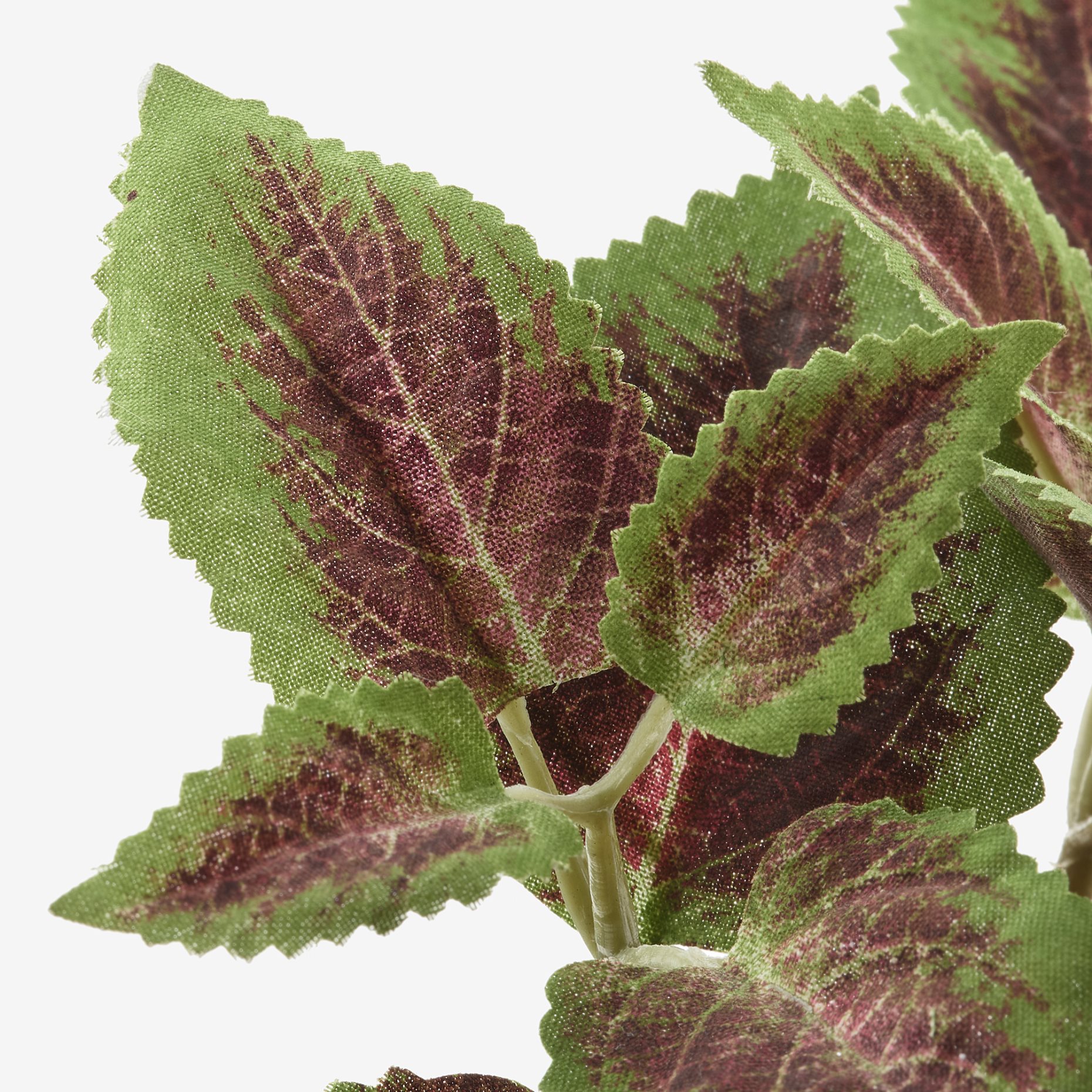 FEJKA, τεχνητό φυτό σε γλάστρα εσωτερικού/εξωτερικού χώρου/ωραιόφυλλο, 6 cm, 104.966.08