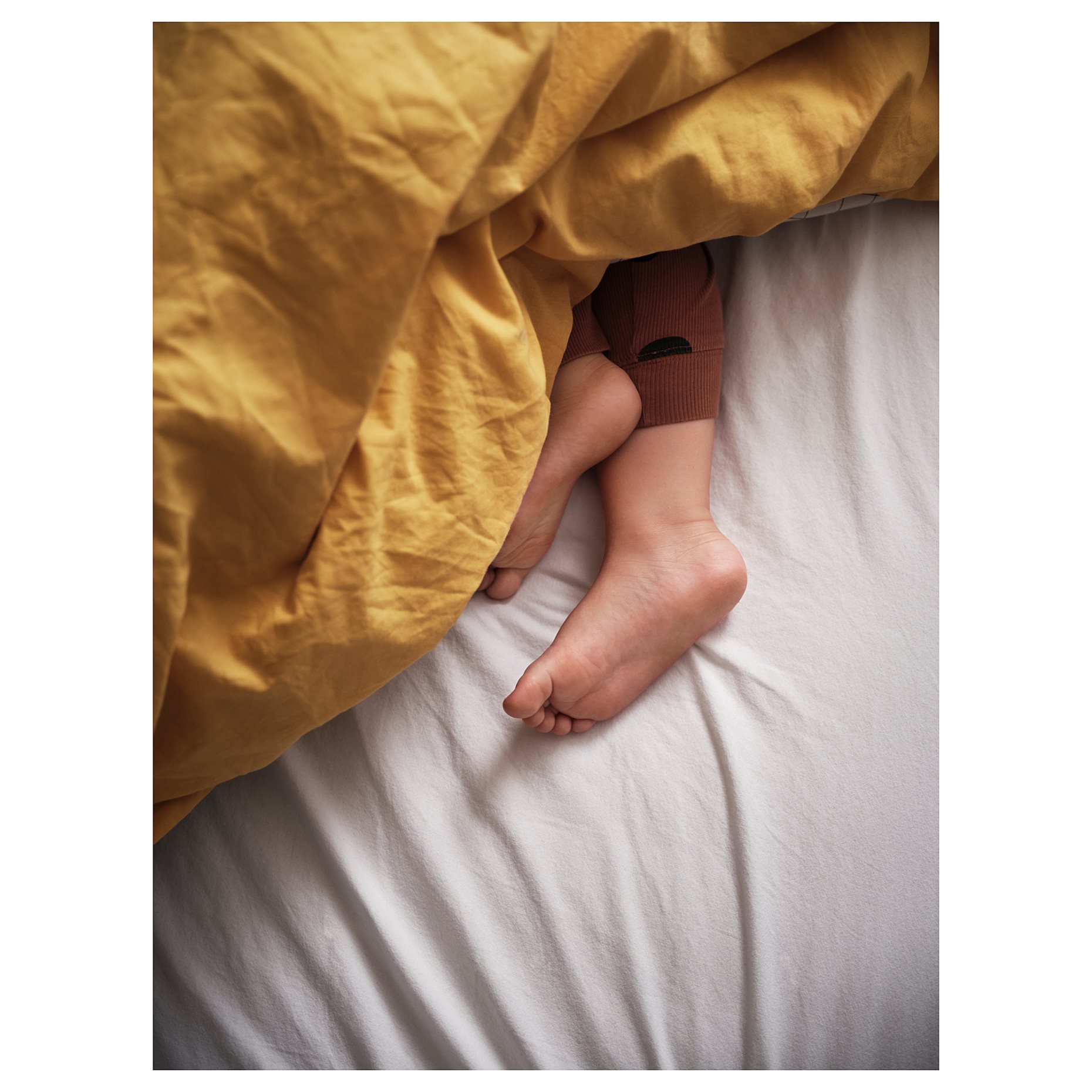 VÄNKRETS, παπλωματοθήκη και μαξιλαροθήκη, 150x200/50x60 cm, 105.079.37