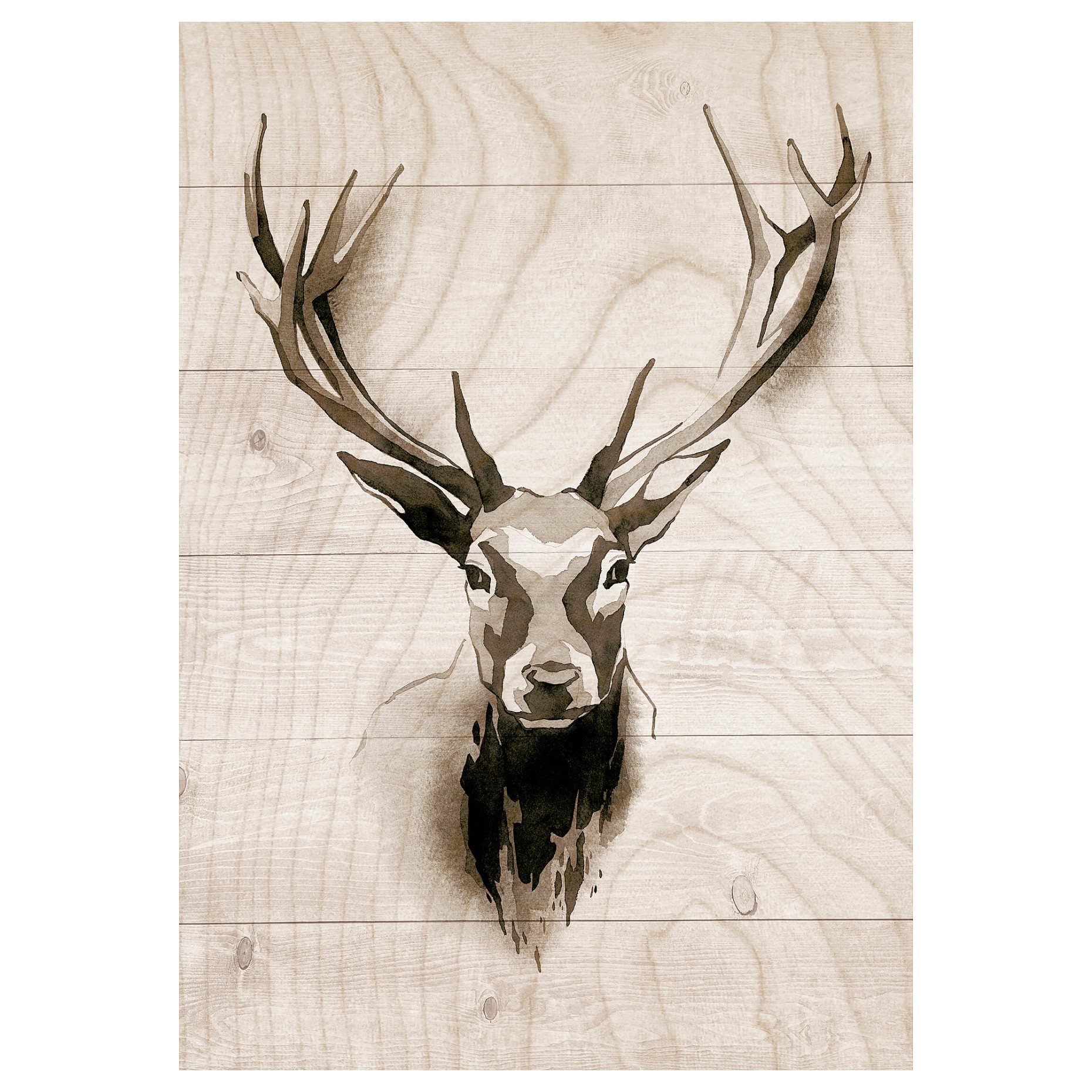 PJÄTTERYD, picture/Wood look, 70x100 cm, 105.365.53