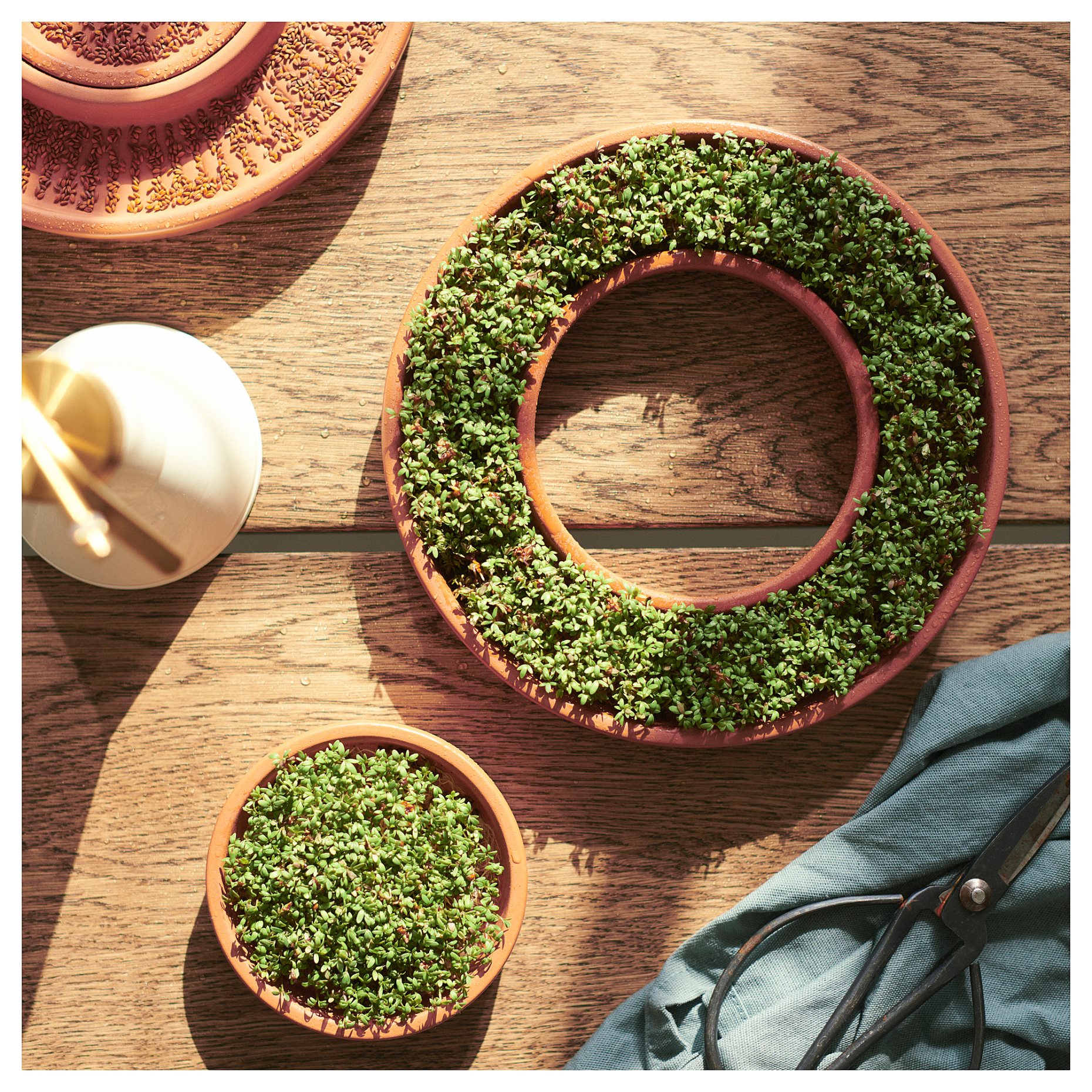 DAKSJUS, πιάτο καλλιέργειας, 2 τεμ., 105.673.04