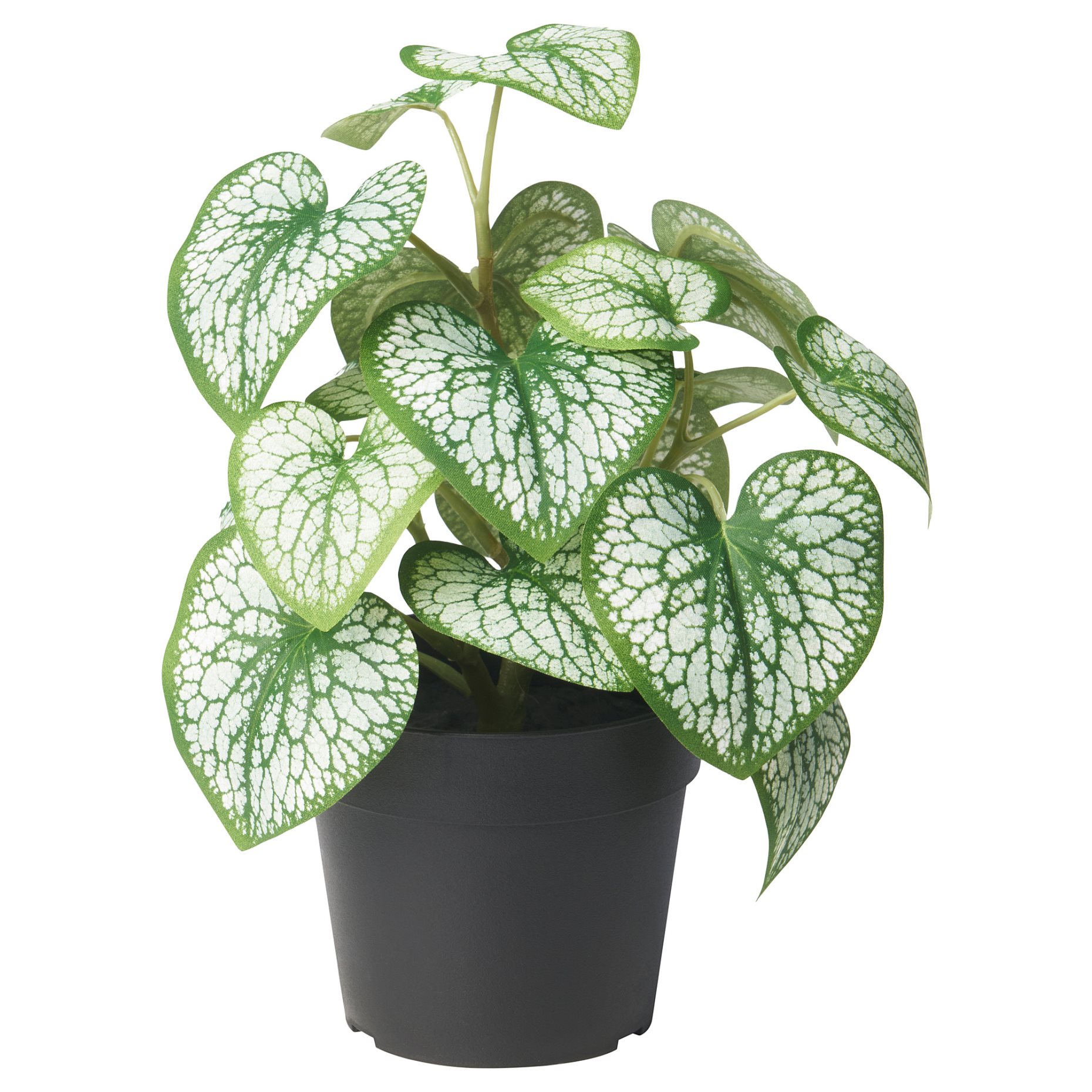 FEJKA, τεχνητό φυτό σε γλάστρα/εσωτερικού/εξωτερικού χώρου/Μπρουνέρα μη-με-λησμόνει, 9 cm, 105.825.02