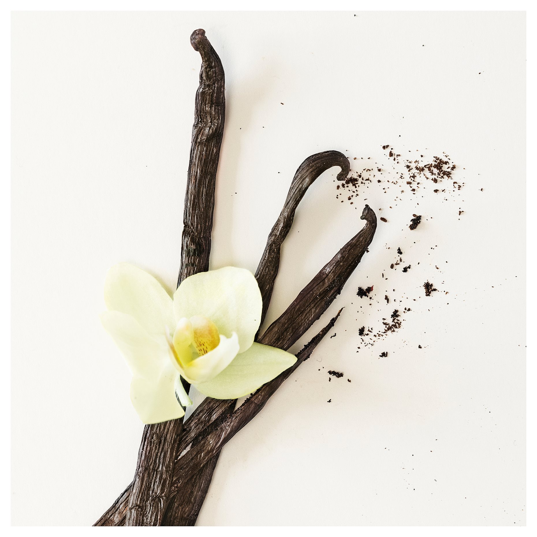 FRÖFINK, scented potpourri/Vanilla, 60 g, 106.096.05