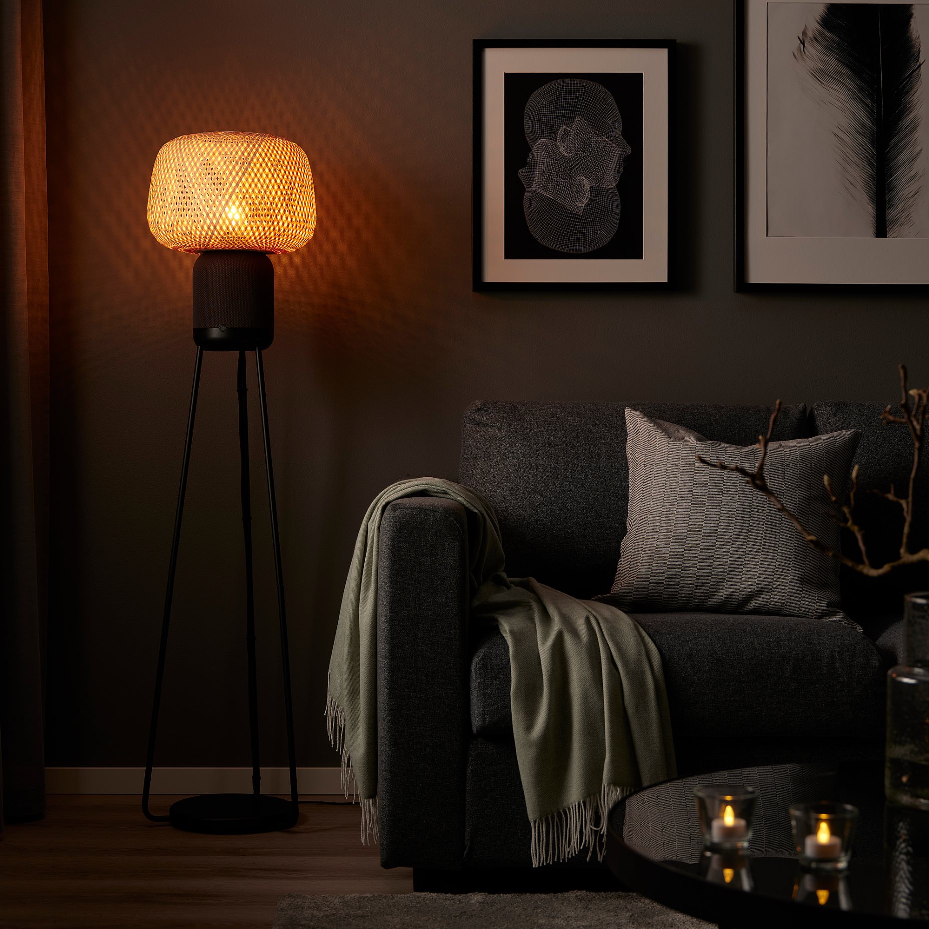 SYMFONISK, floor lamp with WiFi speaker/smart, 205.282.89