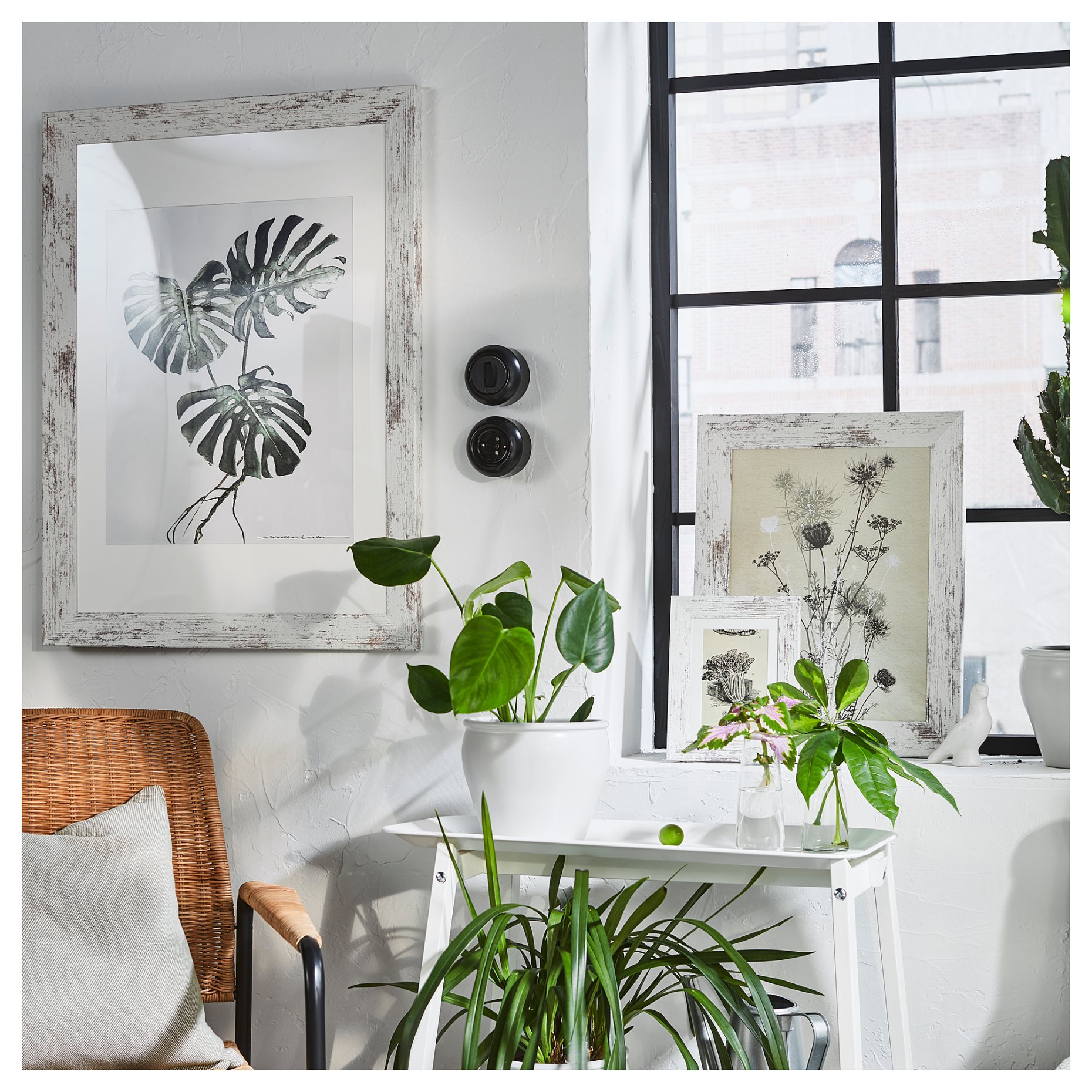 PLOMMONTRÄD, κορνίζα, 13x18 cm, 205.595.39