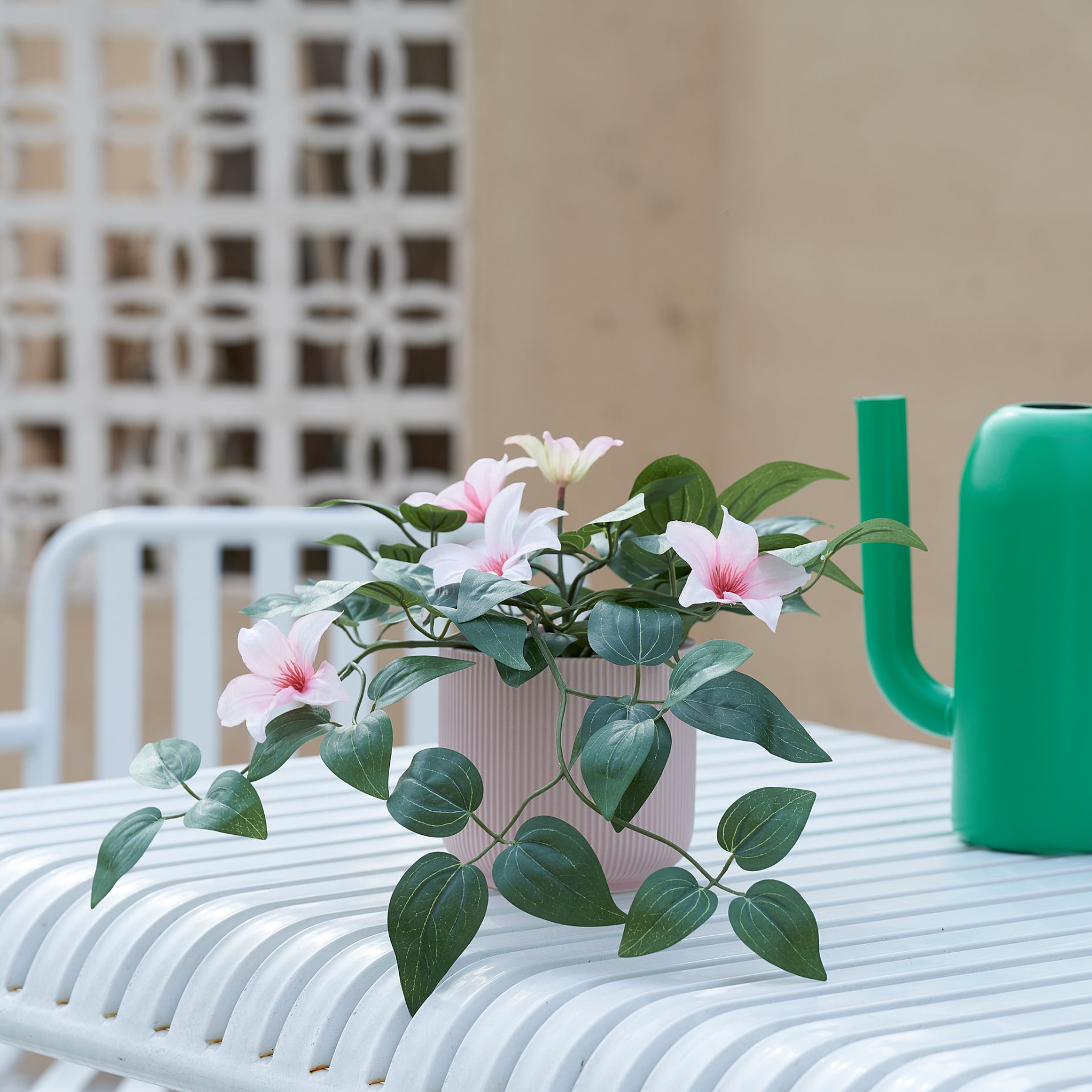 FEJKA, artificial potted plant in/outdoor clematis/hanging, 12 cm, 205.596.76