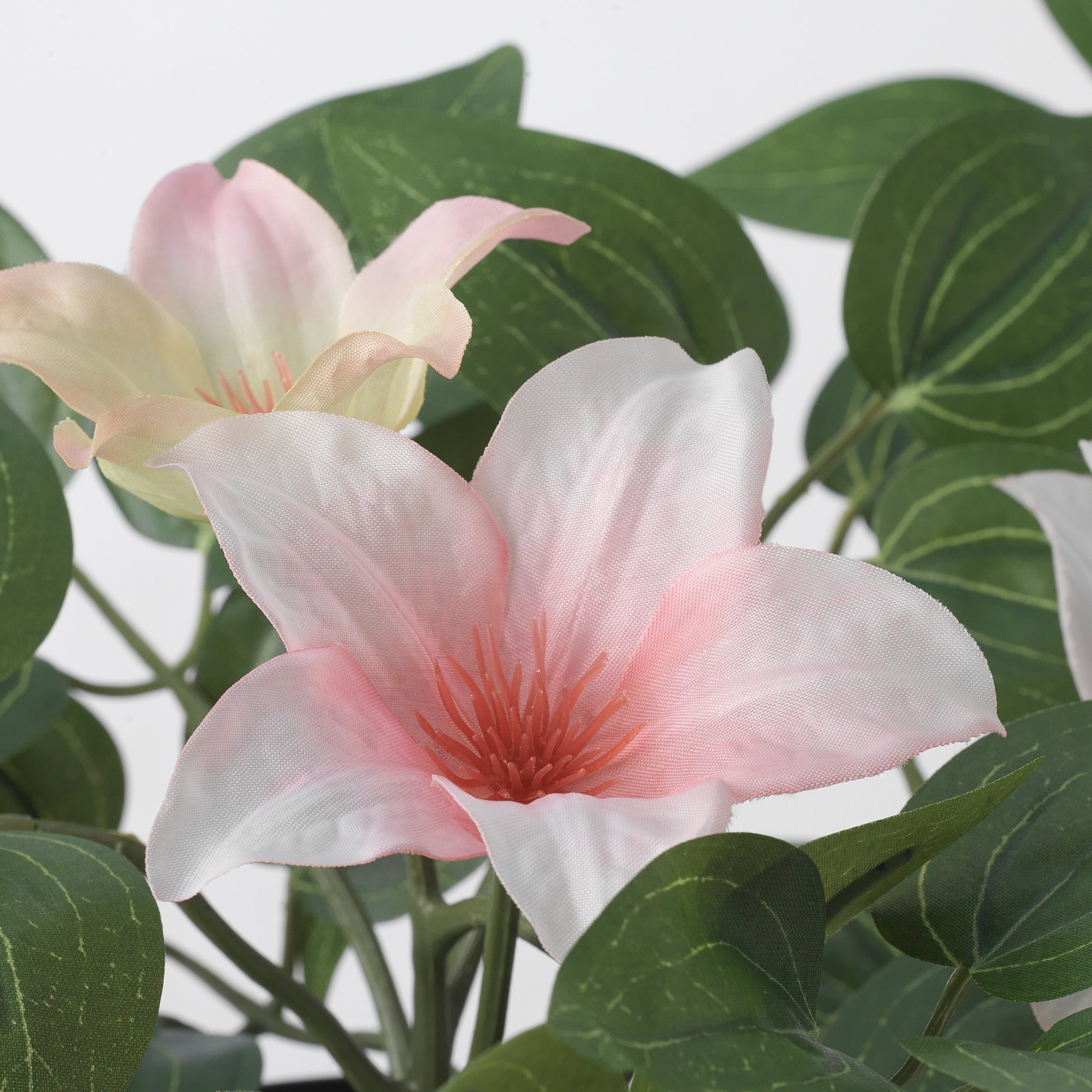 FEJKA, artificial potted plant in/outdoor clematis/hanging, 12 cm, 205.596.76