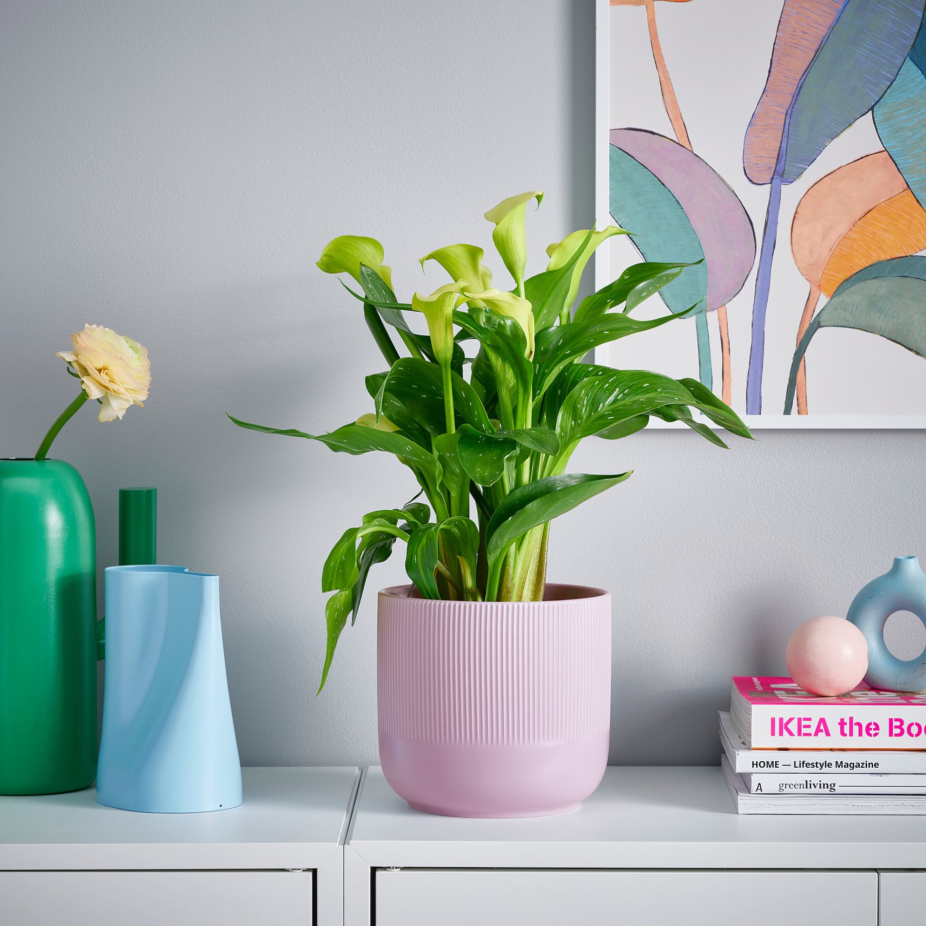 GRADVIS, κασπό εσωτερικού/εξωτερικού χώρου, 15 cm, 205.693.31