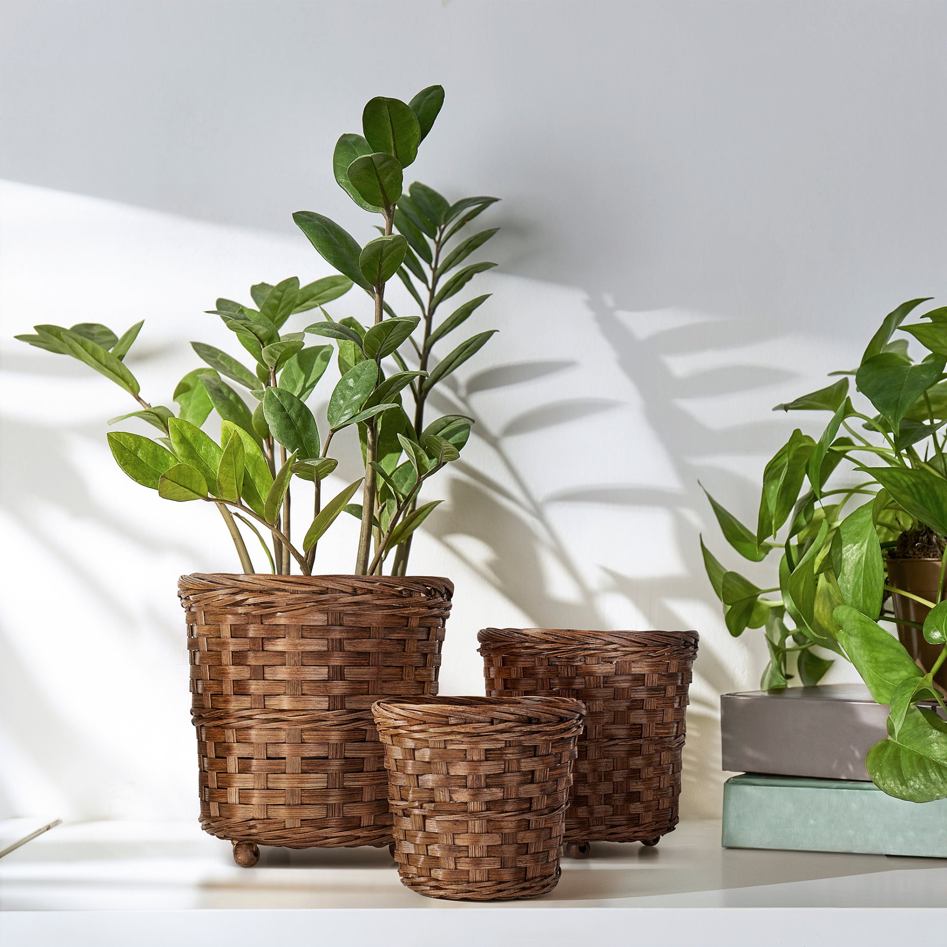 KLIBBAL, plant pot, 9 cm, 205.712.11