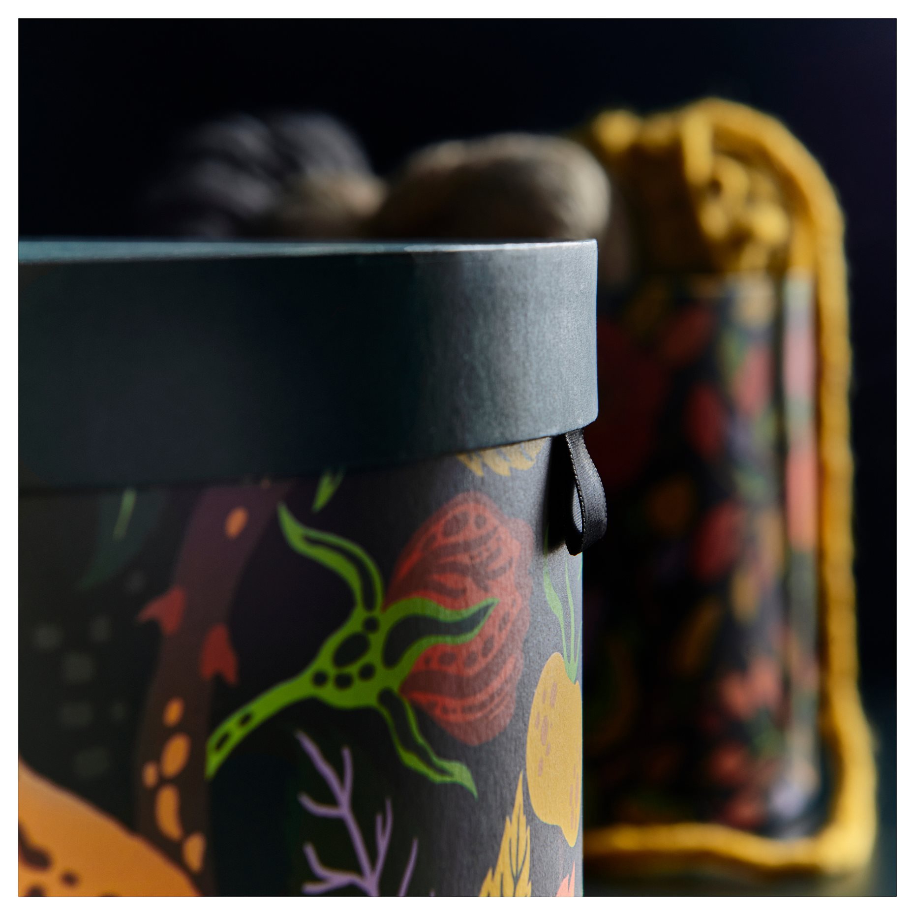 HOSTAGILLE, κουτί αποθήκευσης με καπάκι, 2 τεμ., 205.757.80