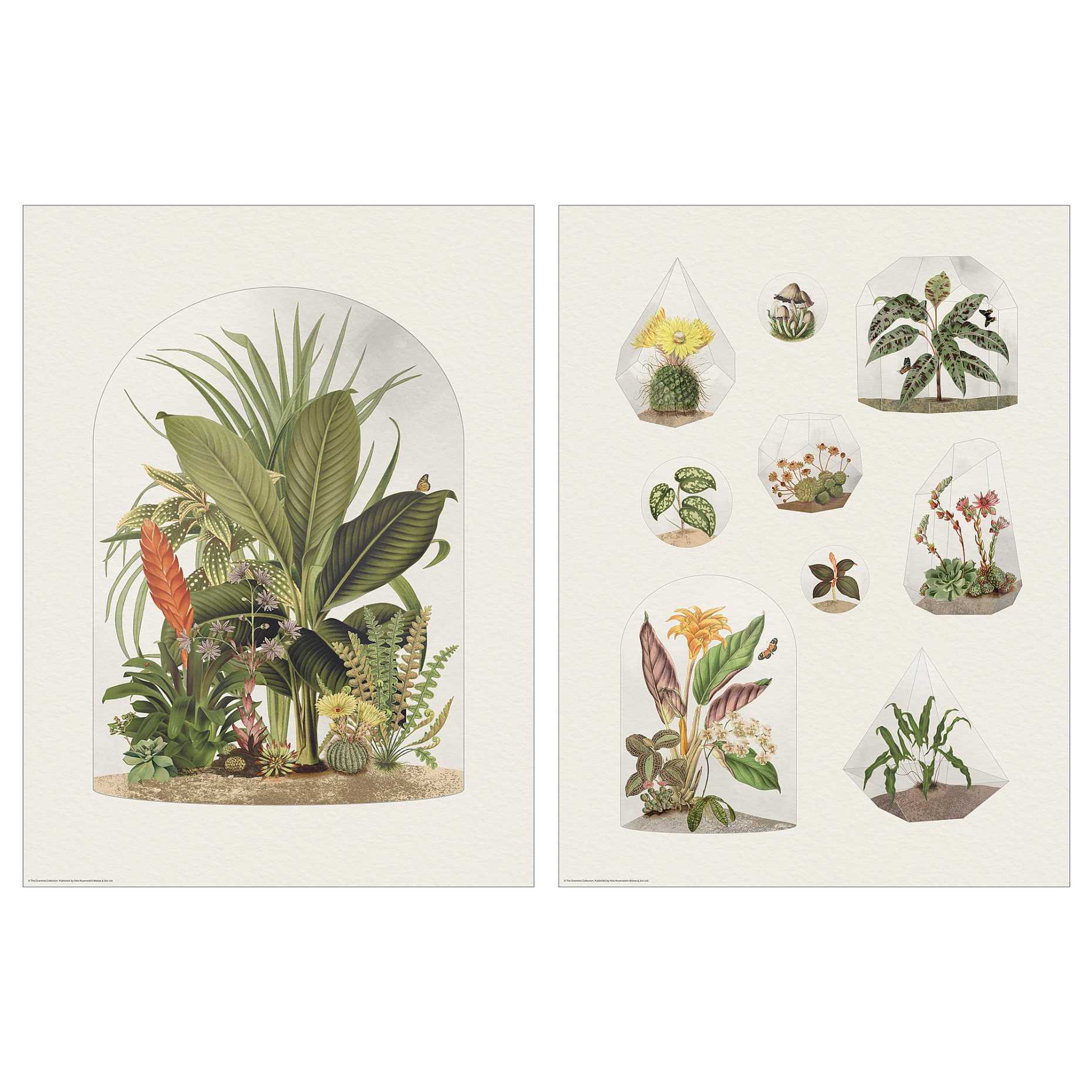 BILD, poster/Tropical terraria, 30x40 cm, 205.788.92