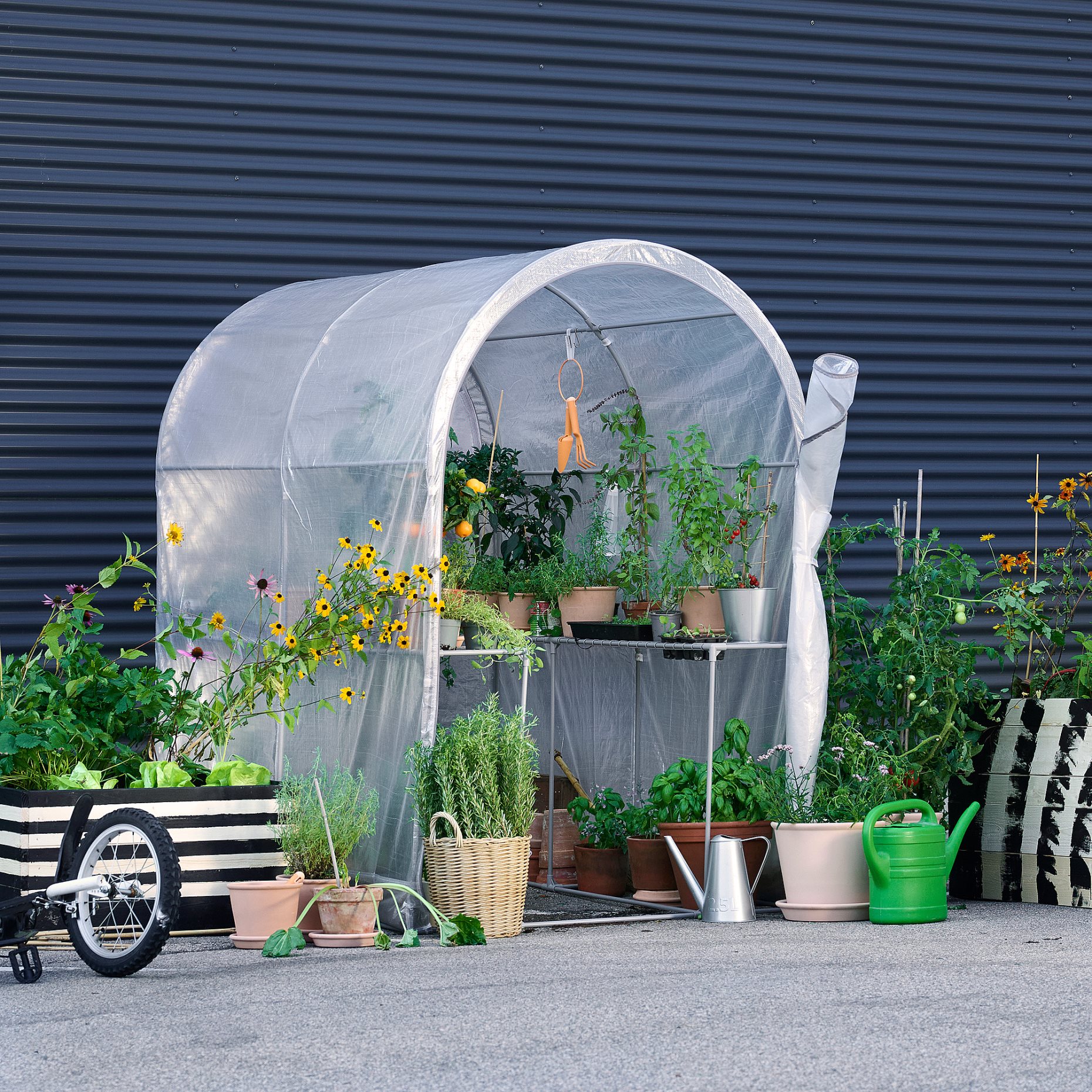 ASPAREN, greenhouse, 123x190x190 cm, 205.856.23
