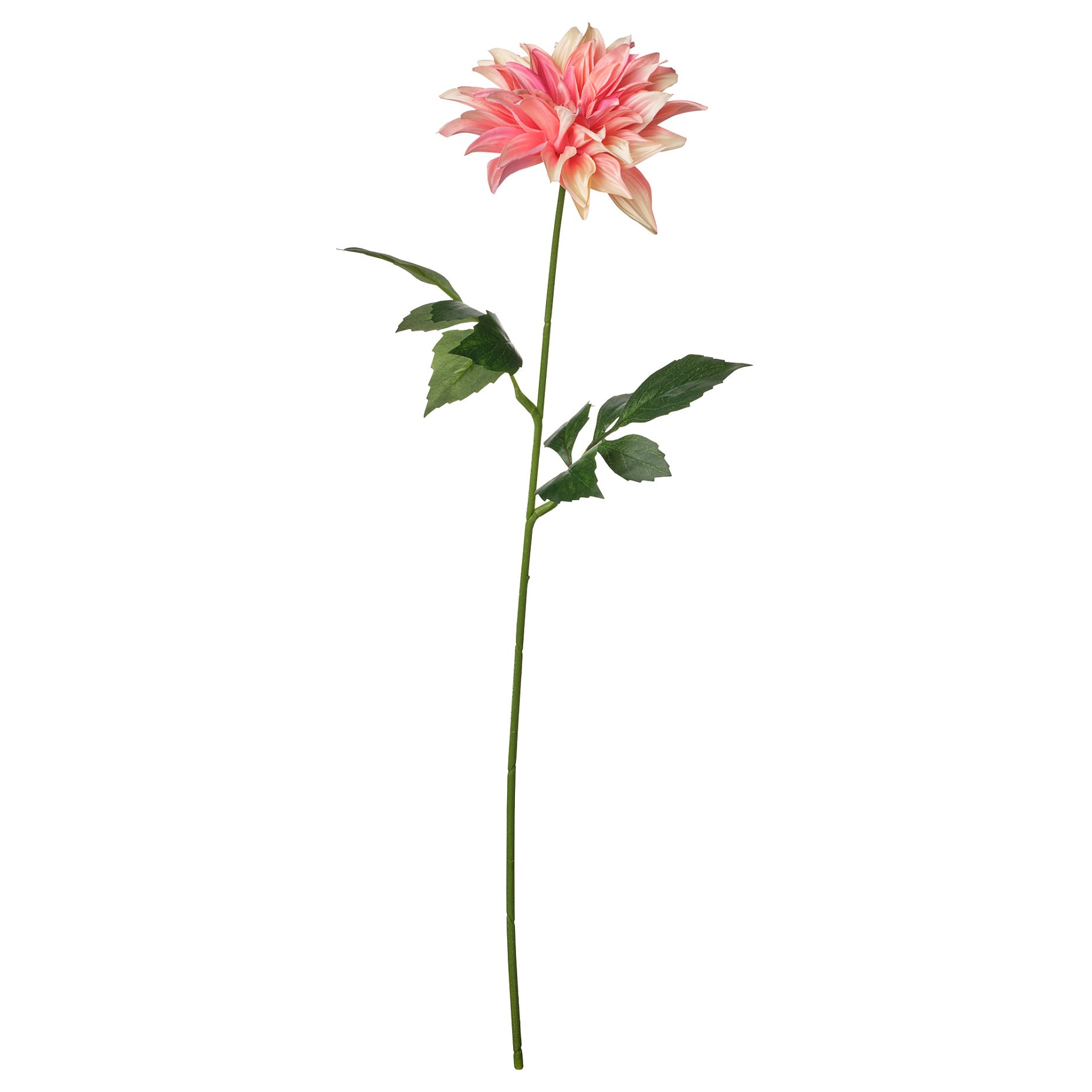 SMYCKA, artificial flower in/outdoor/Dahlia, 65 cm, 206.060.60