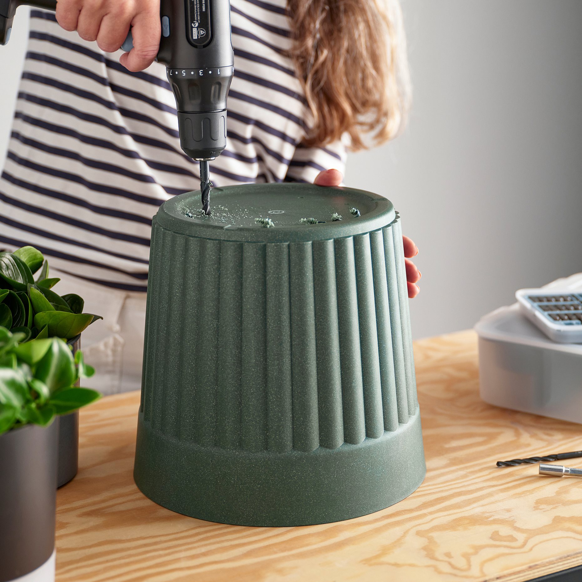 FRÄKENVÄXT, plant pot in/outdoor, 24 cm, 206.108.73