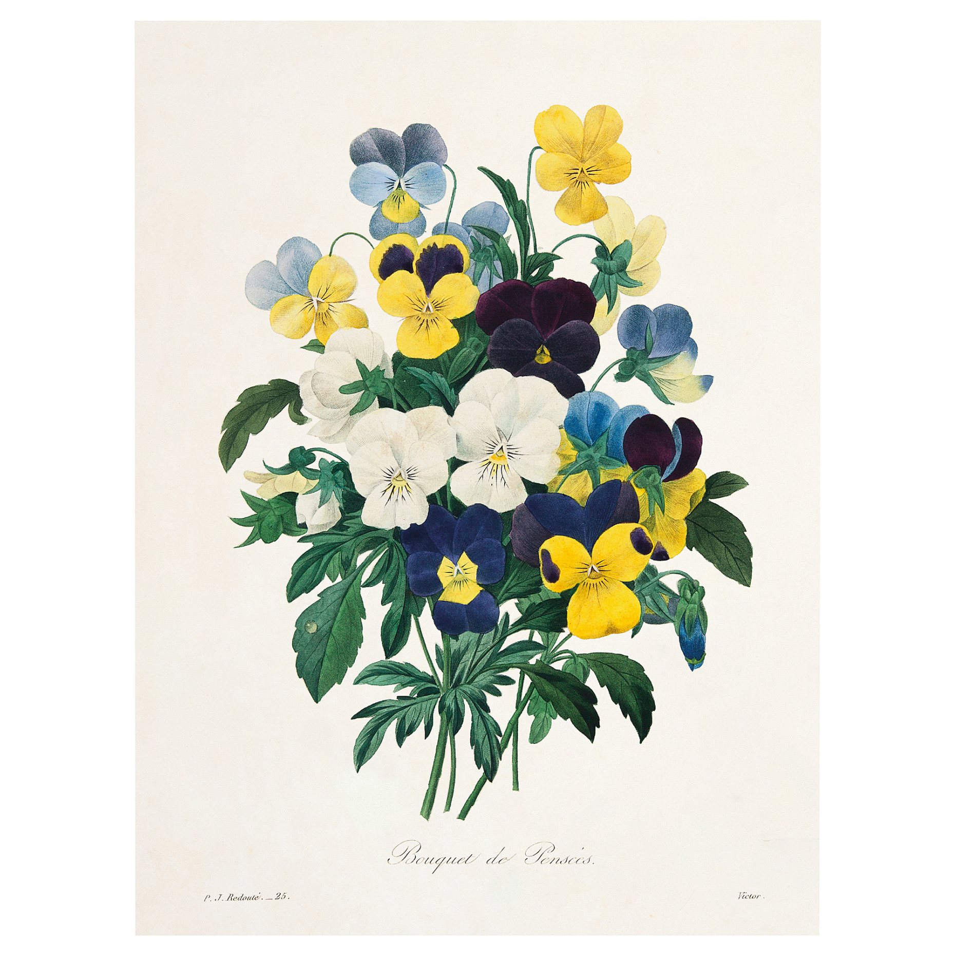 PJÄTTERYD, picture/Flowers, 30x40 cm, 206.187.46