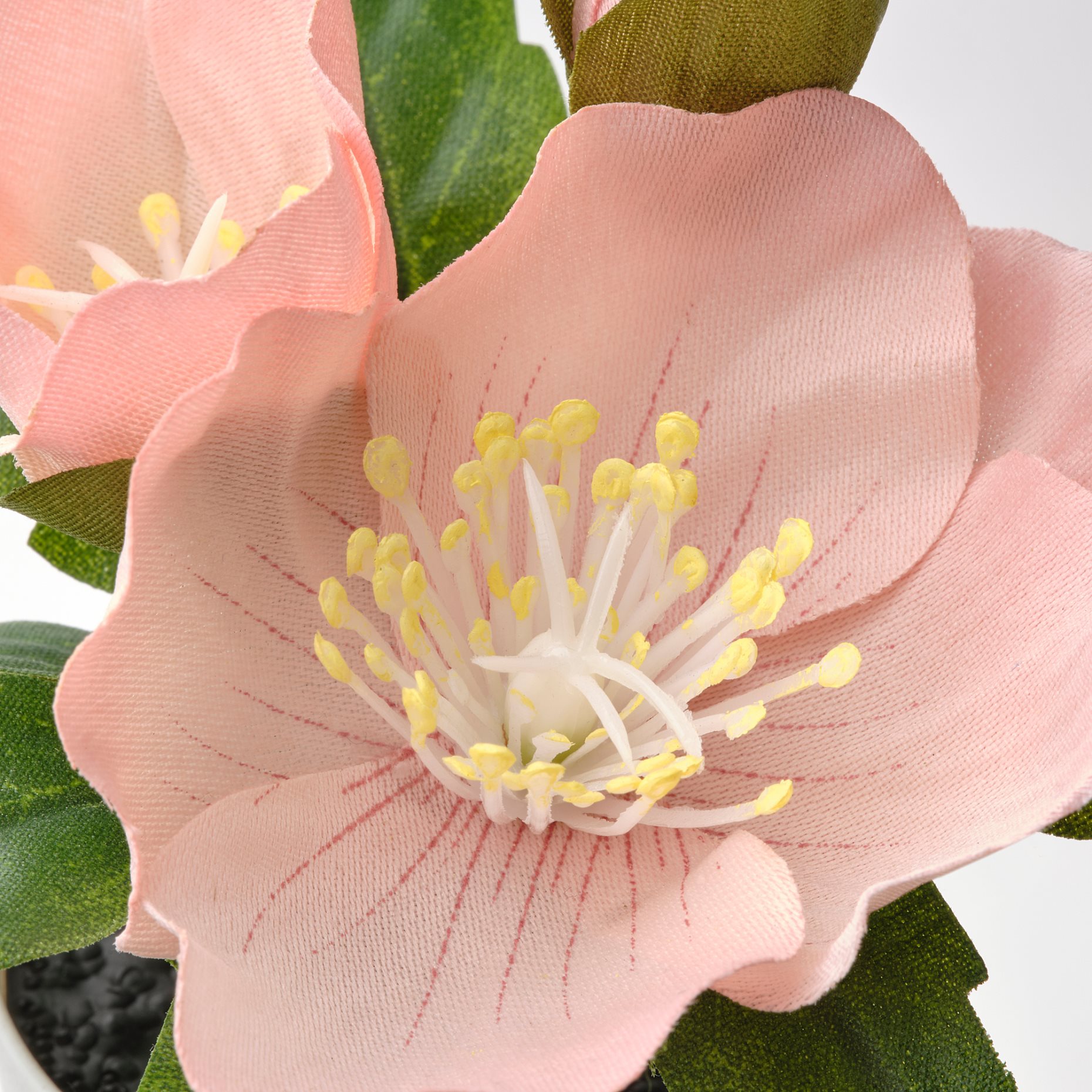 FEJKA, τεχνητό φυτό με κασπό σετ 3 τεμ. εσωτερικού/εξωτερικού χώρου, 6 cm, 305.228.85