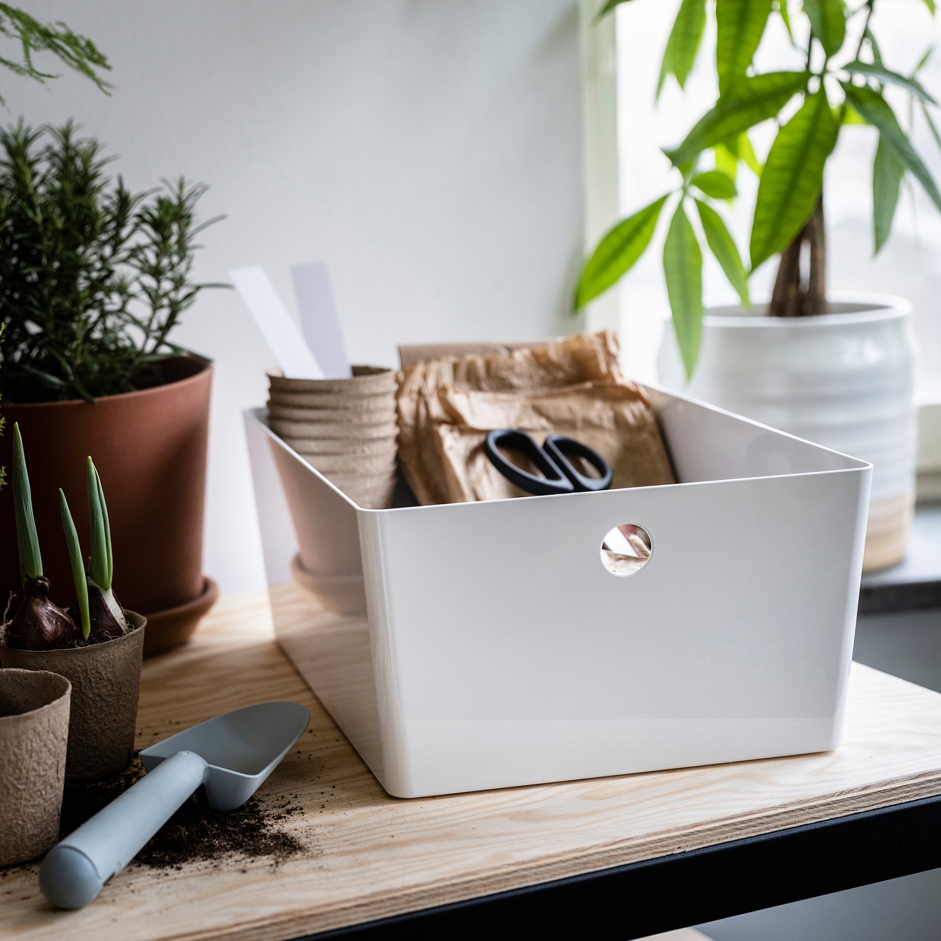 KUGGIS, box, 26x35x15 cm, 305.685.38