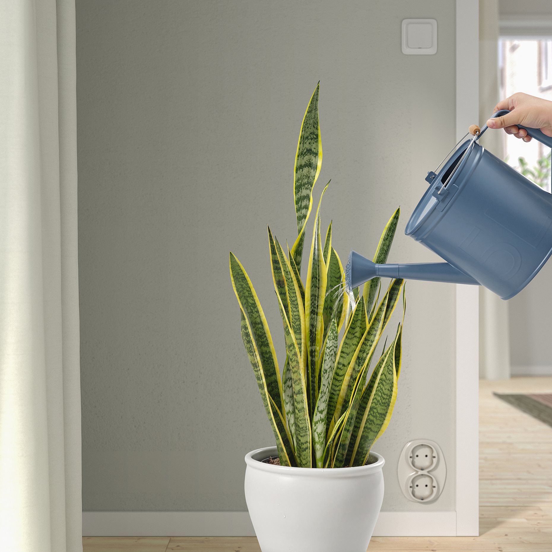 ÅKERBÄR, watering can in/outdoor, 5 l, 305.848.02