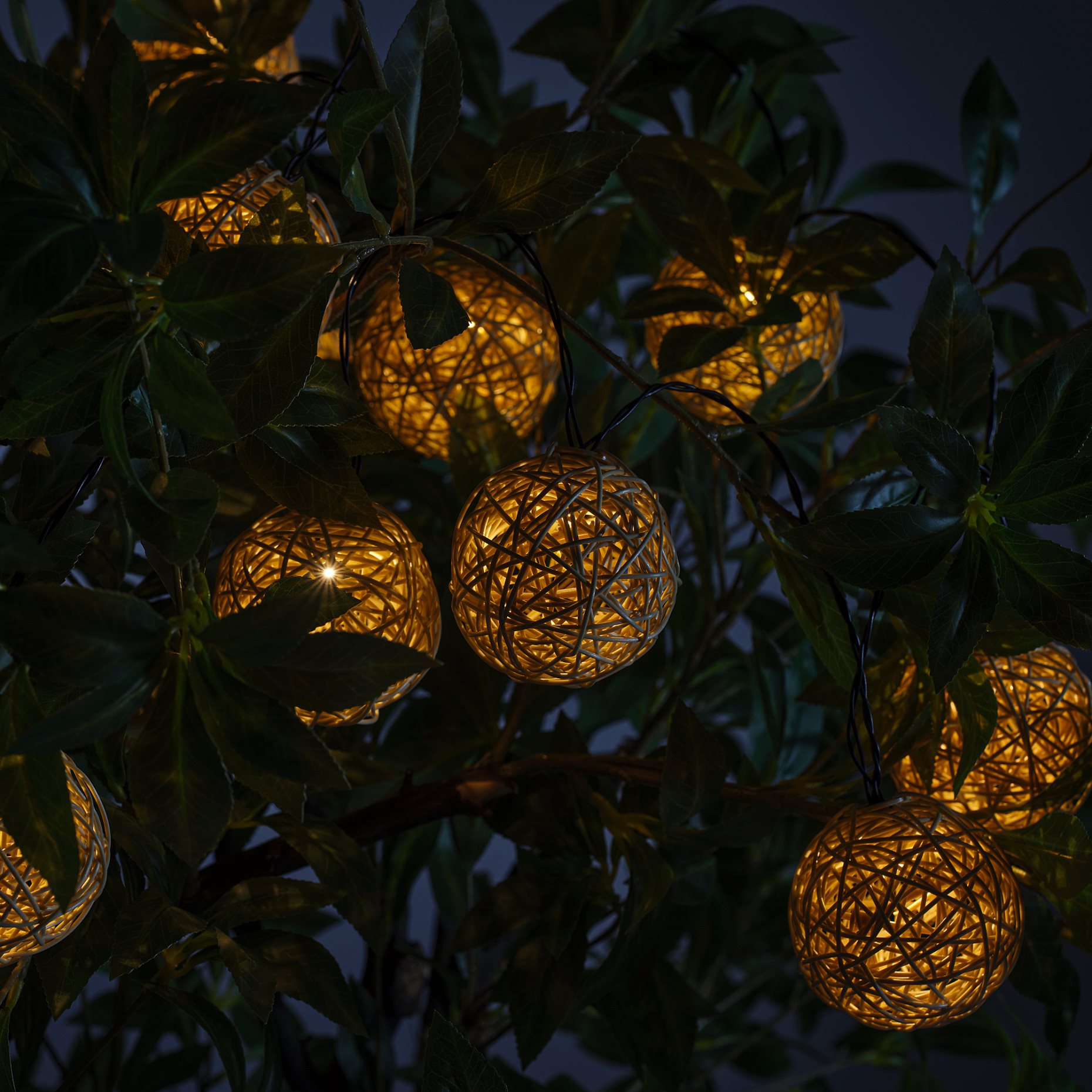 SOLVINDEN, chain with built in LED light source/12 lights/battery-operated, 305.931.56