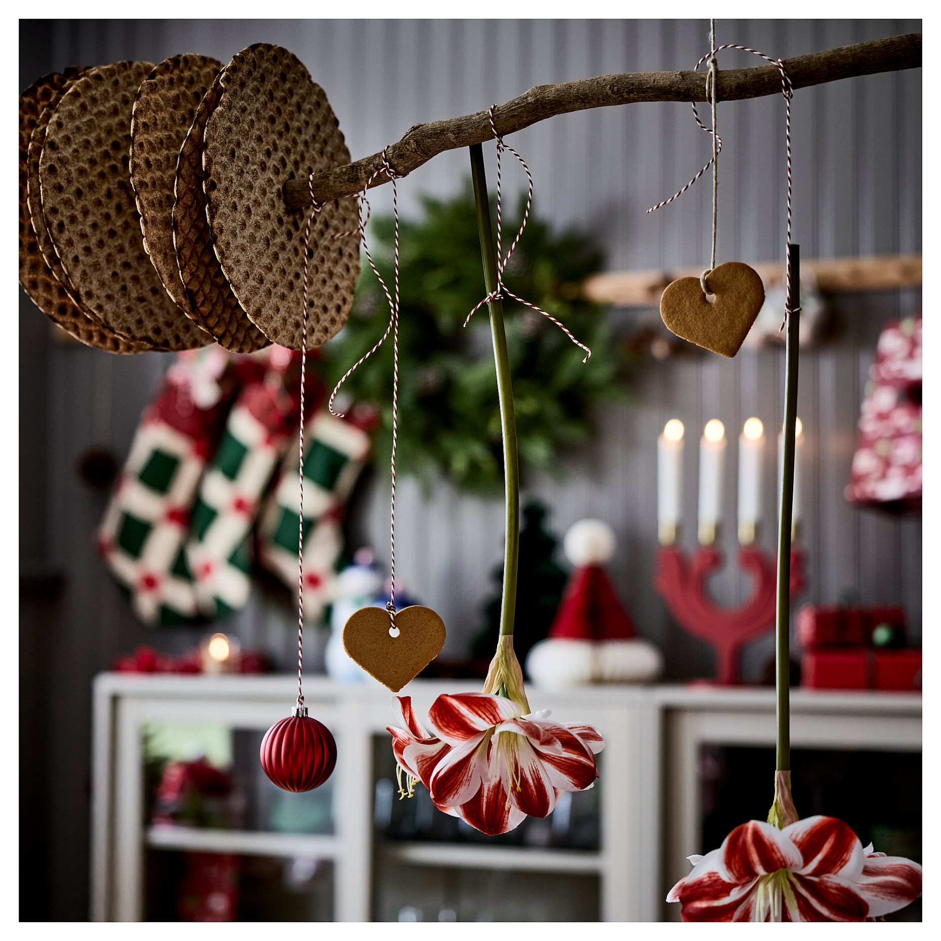 VINTERFINT, τεχνητό λουλούδι εσωτερικού/εξωτερικού χώρου Αμαρυλλίς, 60 cm, 306.066.39