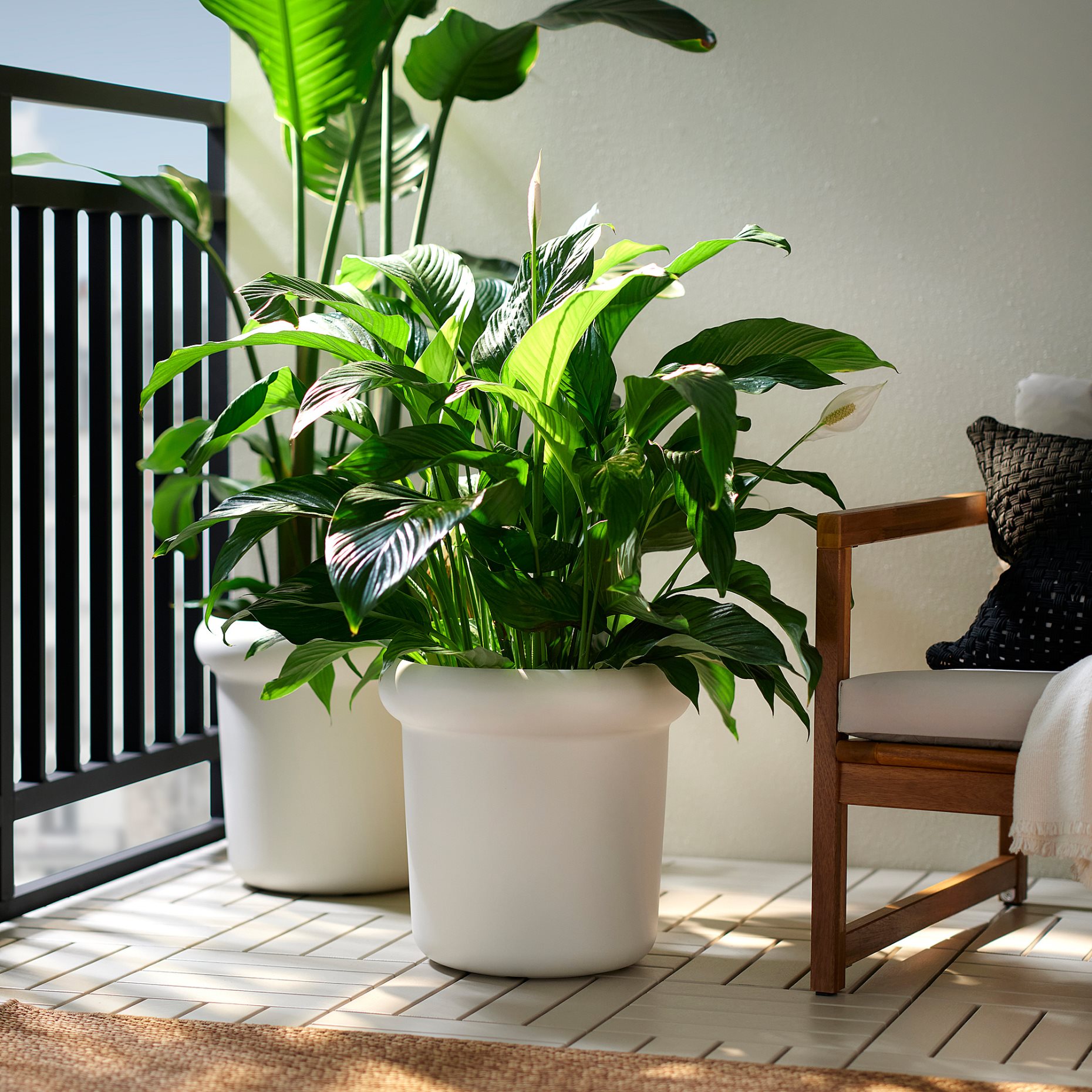 MÅBÄRSBUSKE, γλάστρα εξωτερικού χώρου, 32 cm, 306.124.71