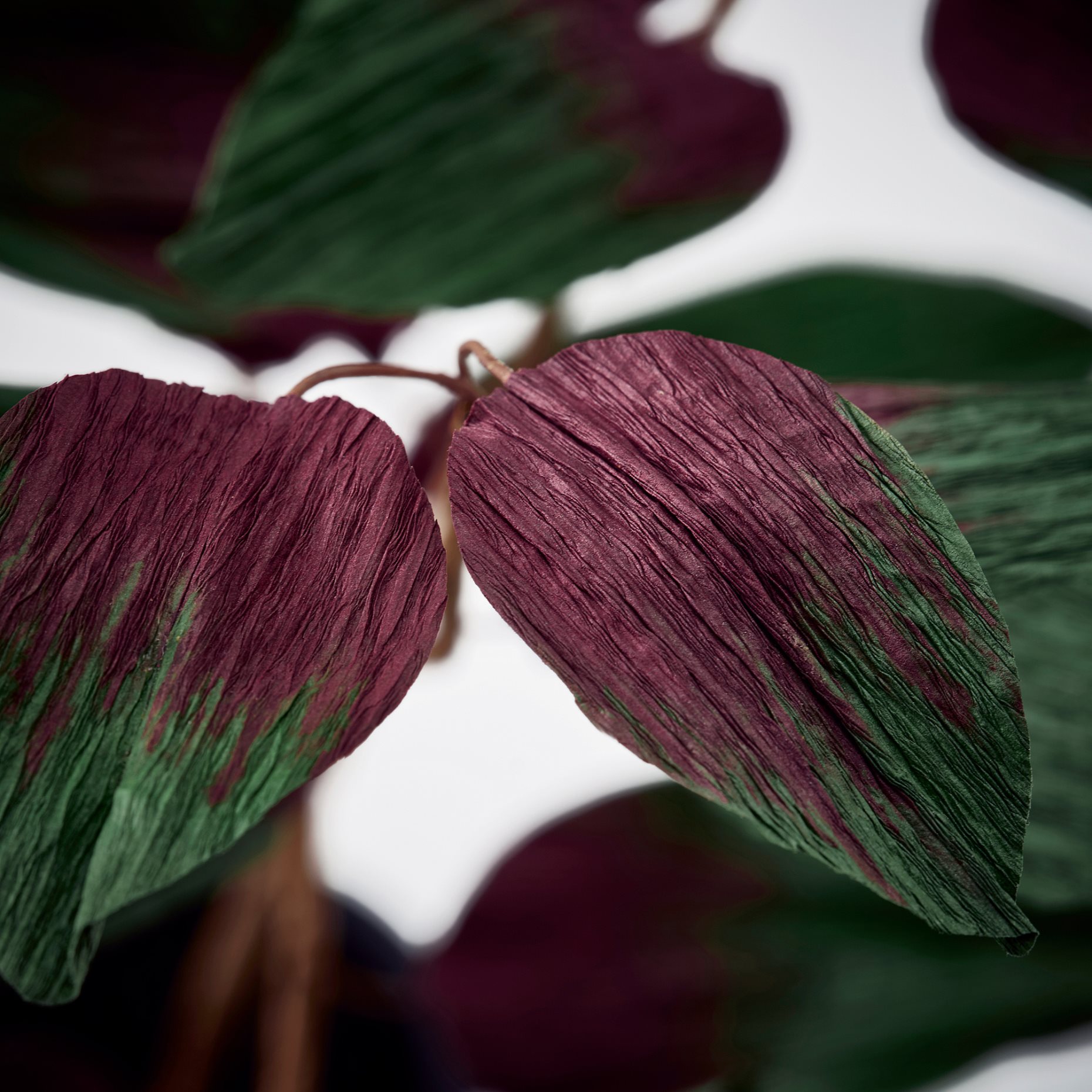 GULDSPETT, artificial flower/paper/eucalyptus, 50 cm, 306.303.33