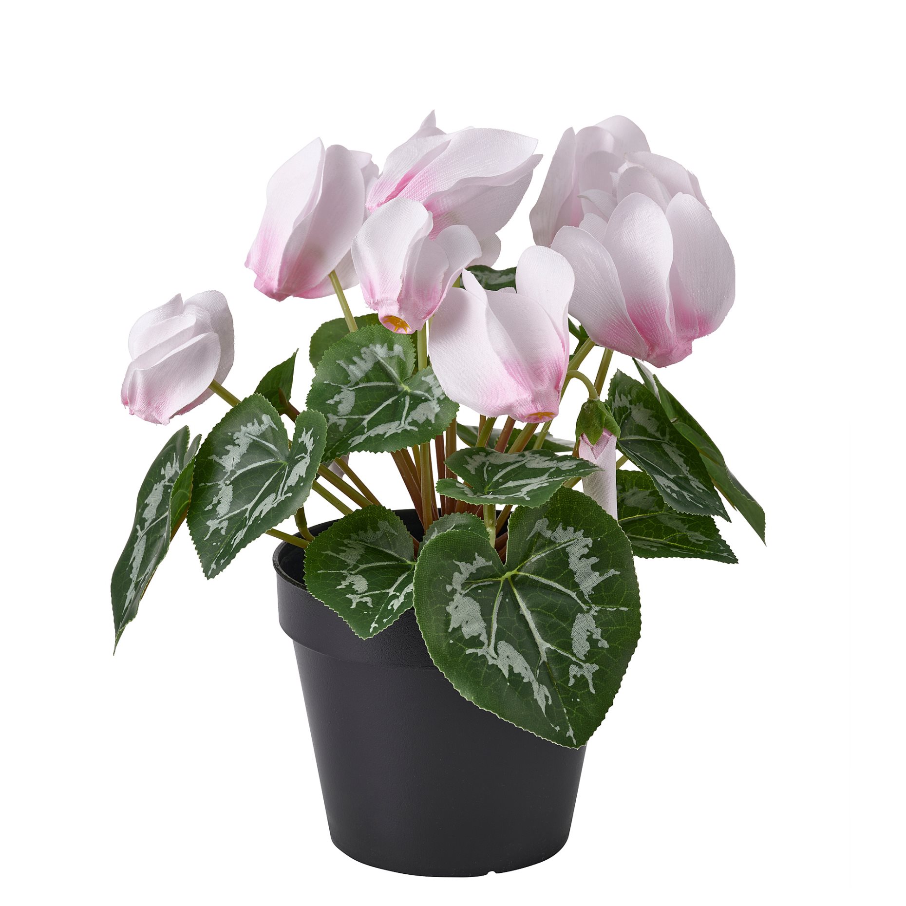 FEJKA, artificial potted plant in/outdoor/Alpine violet, 12 cm, 306.373.20