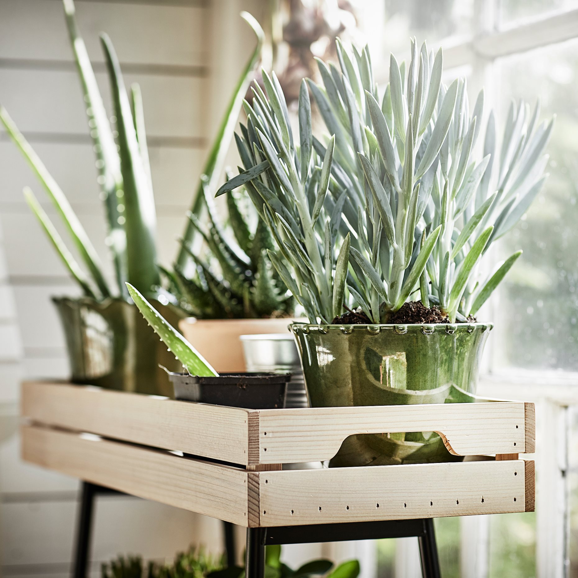 VANILJSTÅNG, plant stand, 67 cm, 404.263.41