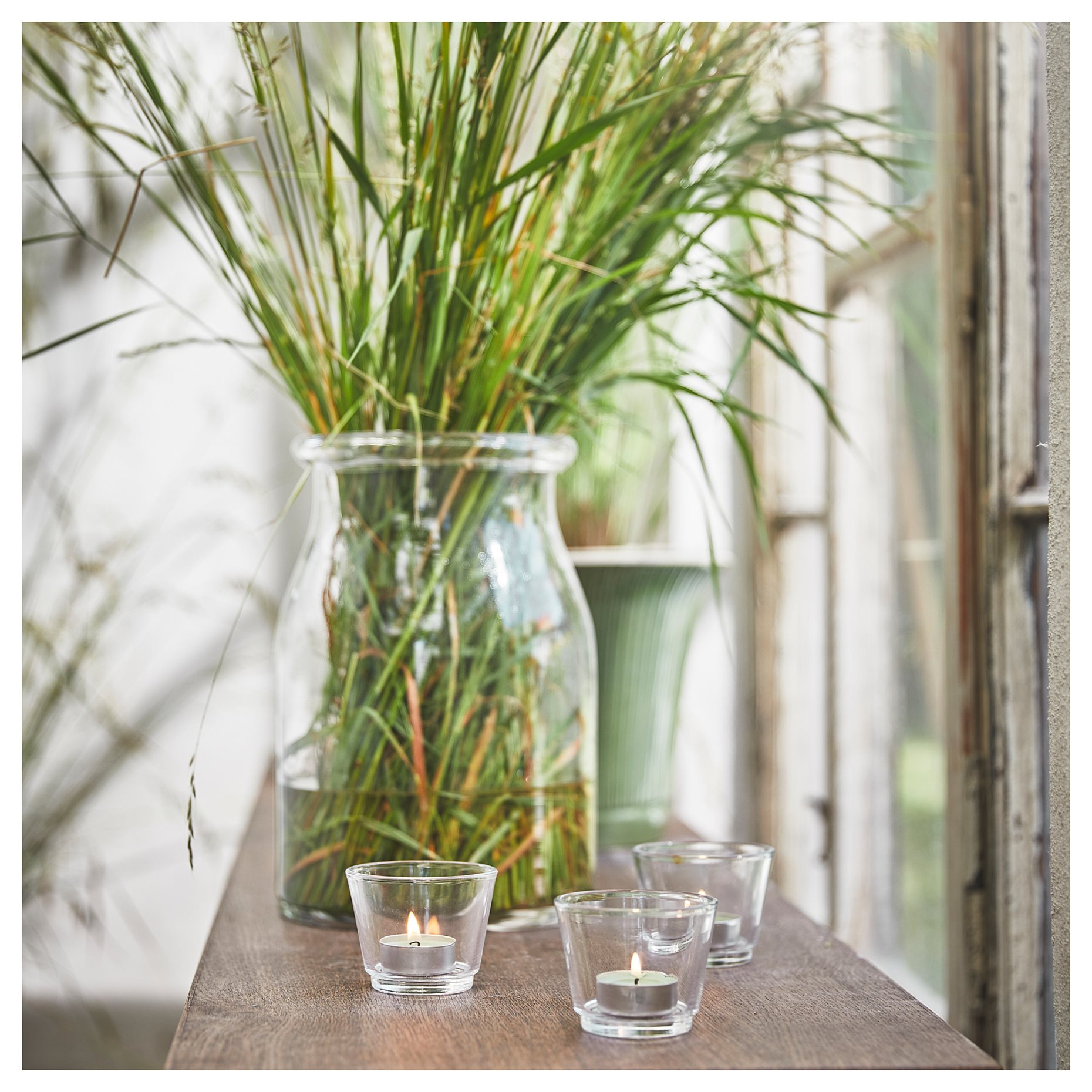 HEDERSAM, scented tealight/Fresh grass/30 pack, 3.5 hr, 405.042.49