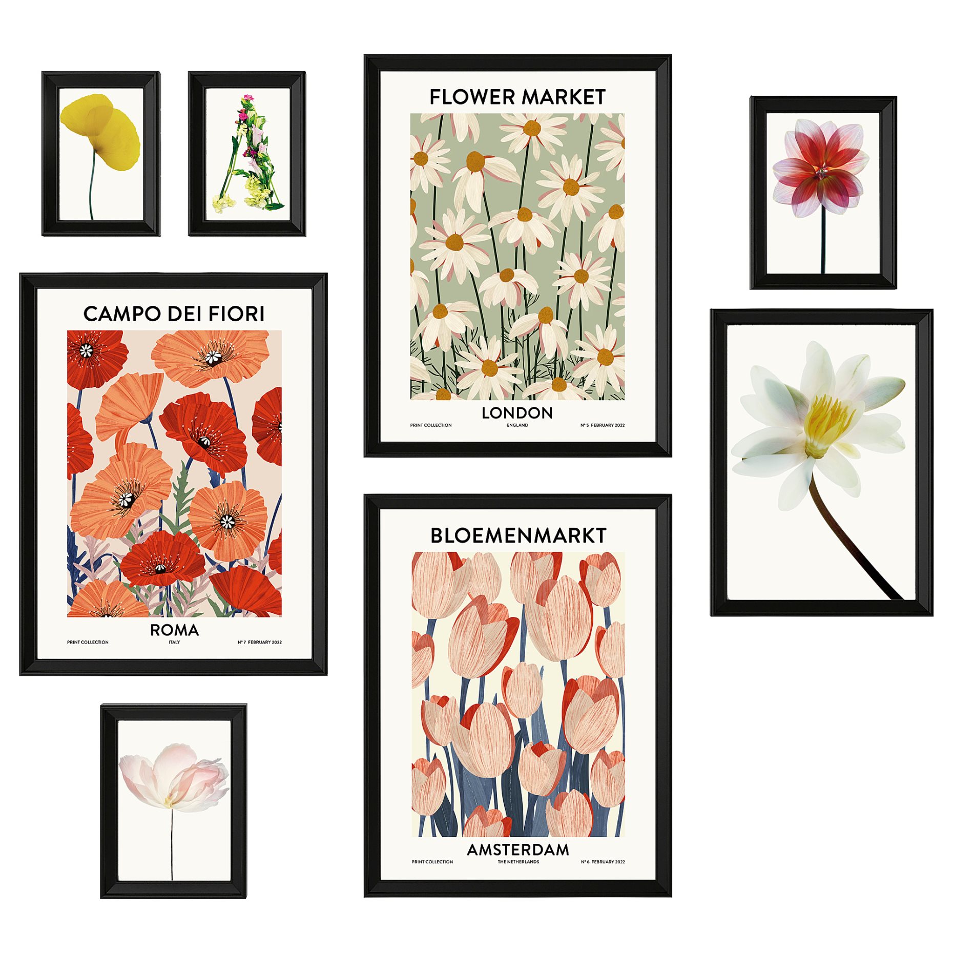 KNOPPÄNG, κορνίζα με πόστερ/αγορά λουλουδιών, σετ 8 τεμ., 405.704.80