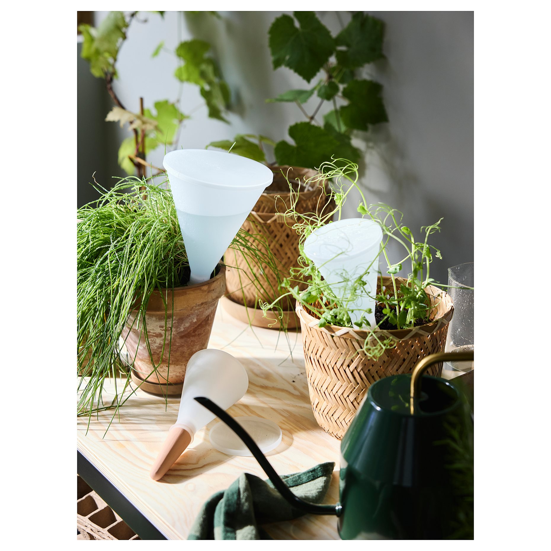 SVÄMSKOG, self-watering insert, 25 cl, 405.708.71