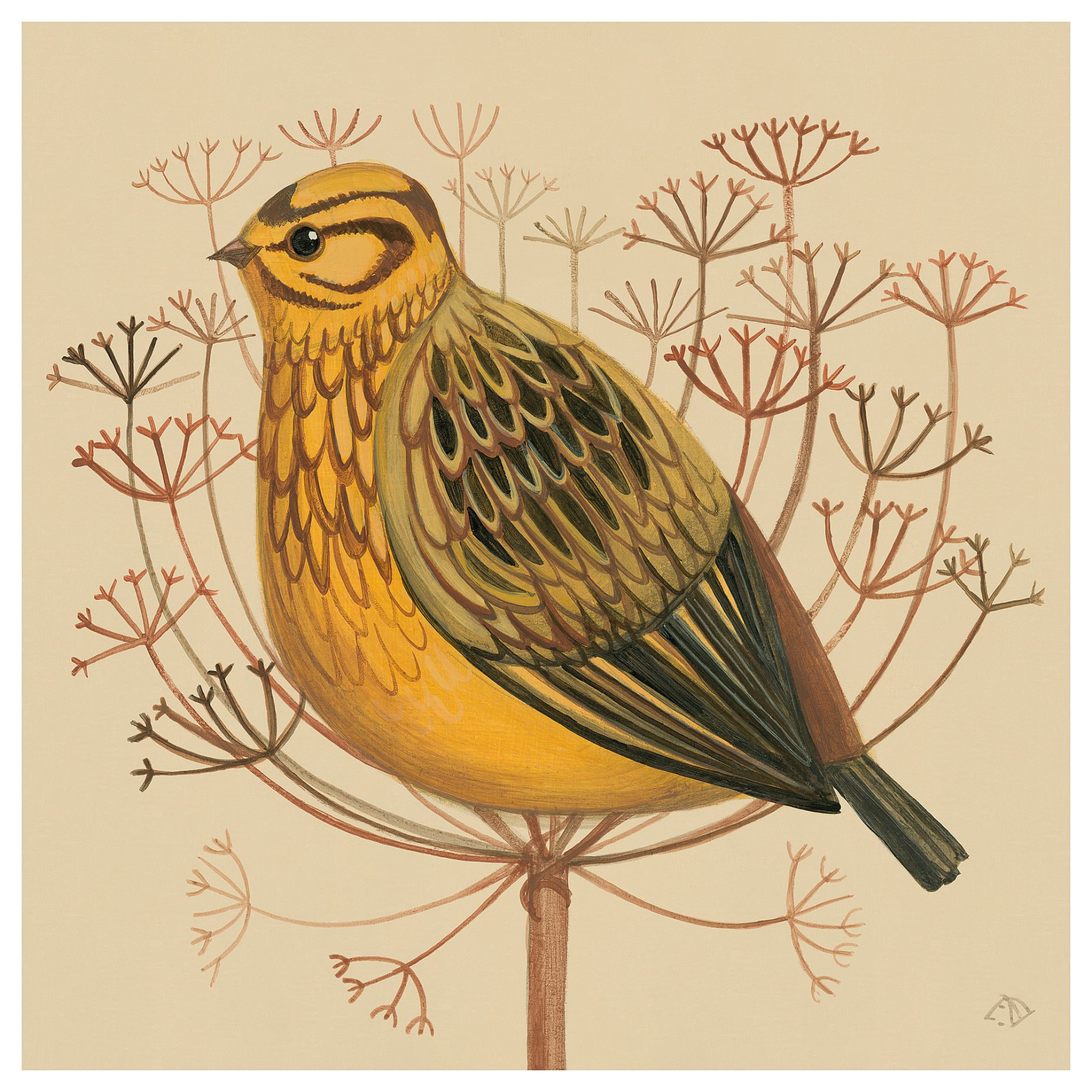 PJÄTTERYD, picture/yellowhammer, 40x40 cm, 405.835.95