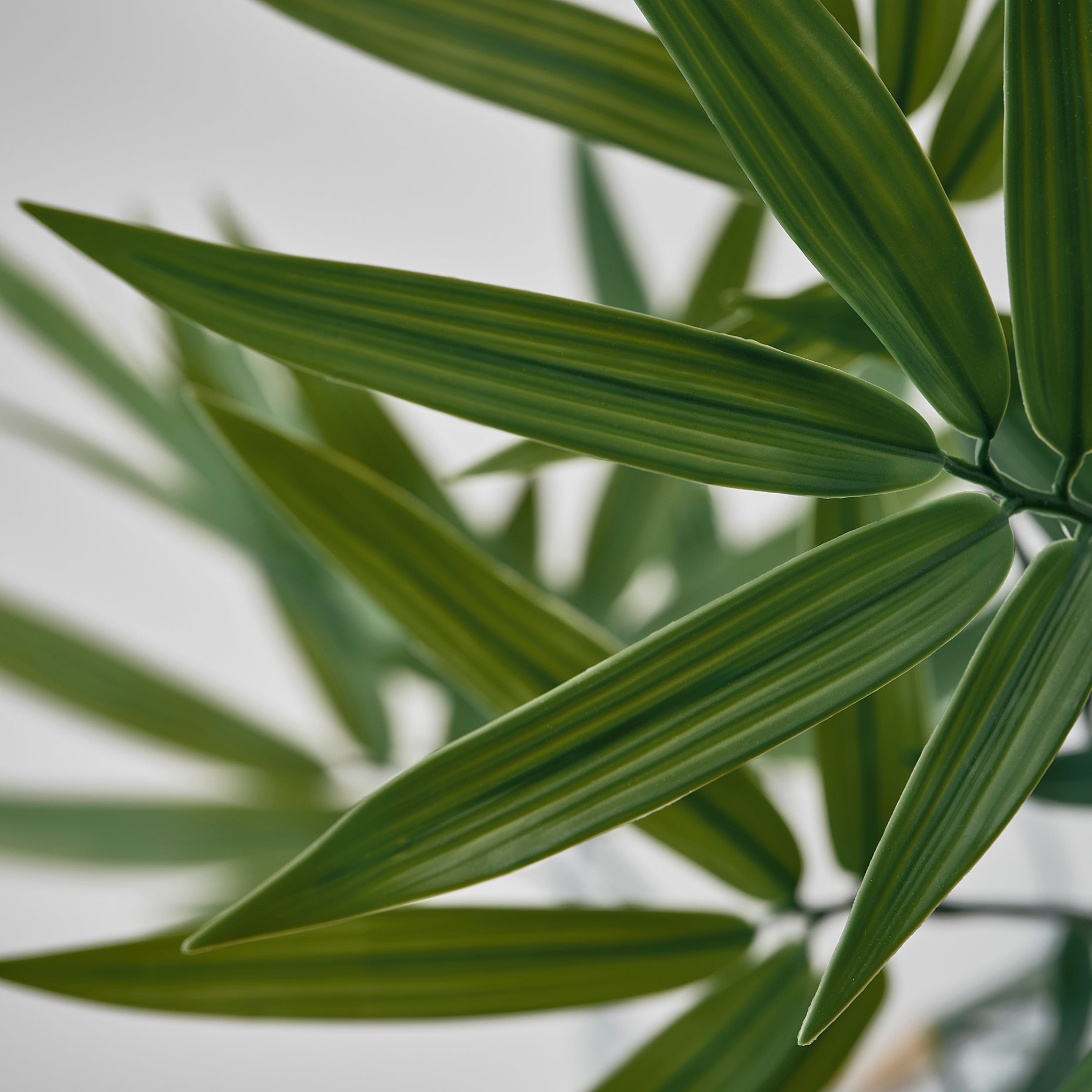 FEJKA, τεχνητό φυτό σε γλάστρα εσωτ./εξωτ. χώρου/μπαμπού, 21 cm, 406.106.07