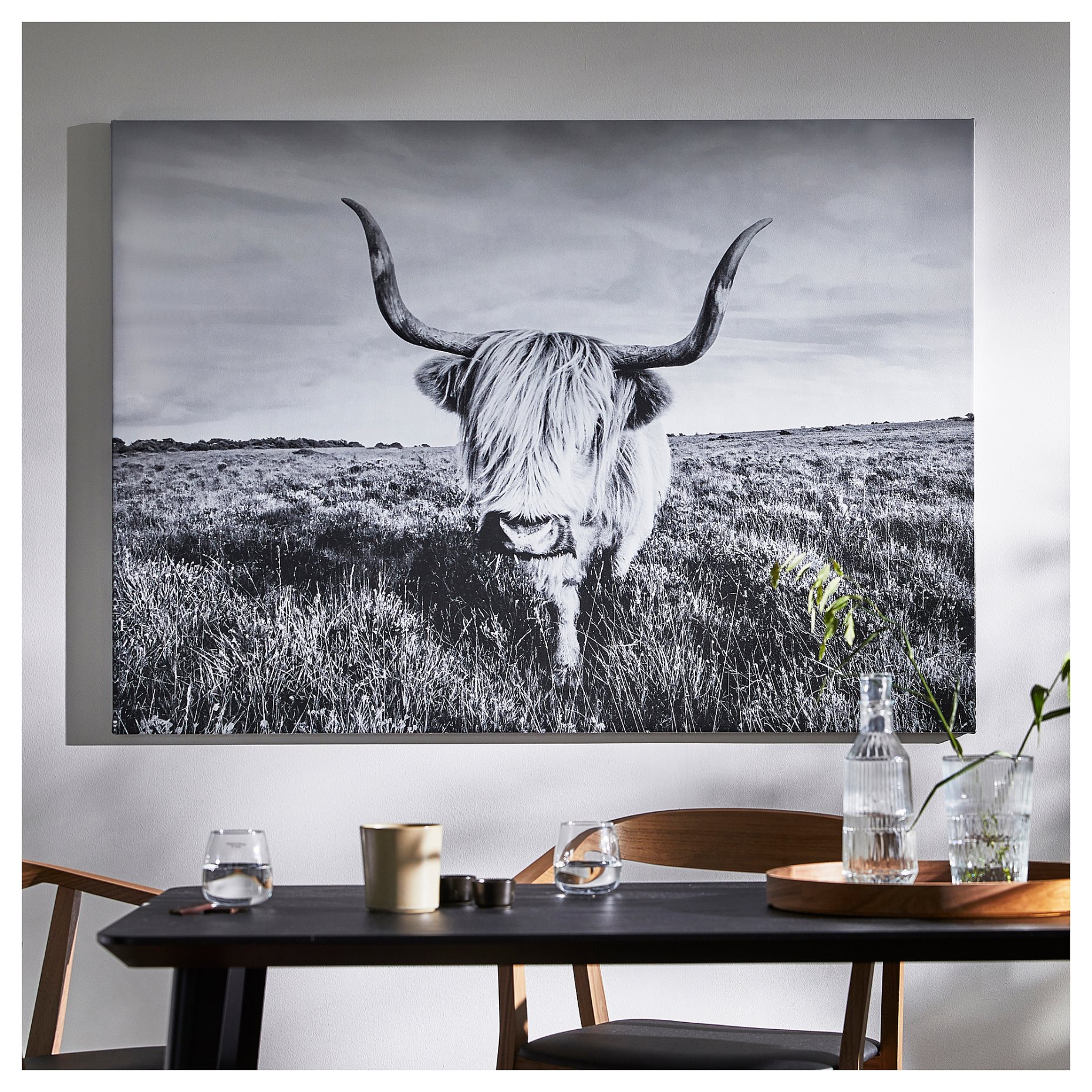 BJÖRKSTA, picture with frame/curious cow, 140x100 cm, 495.089.12