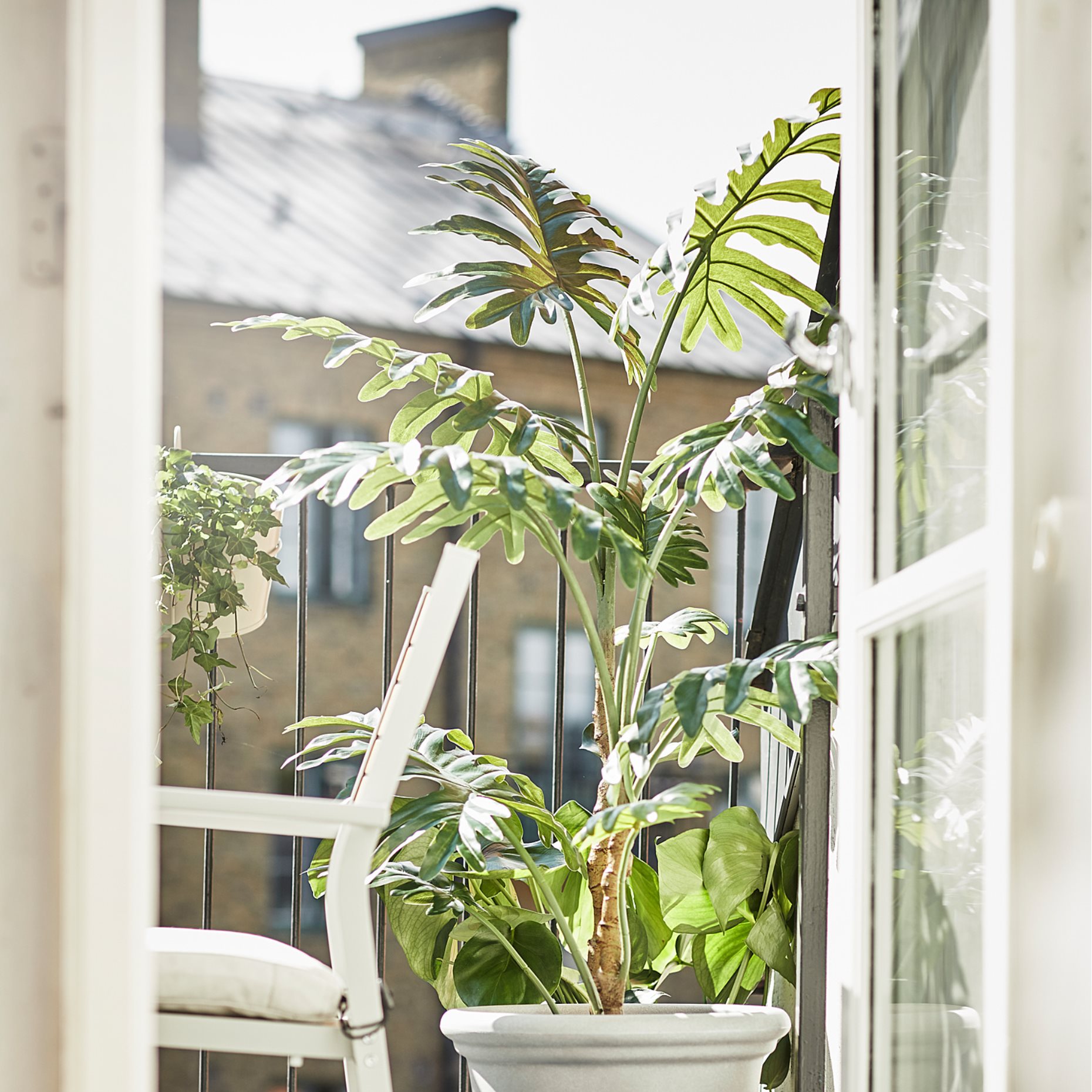 CHILIPEPPAR, κασπό/εσωτερικού/εξωτερικού χώρου, 32 cm, 505.356.36