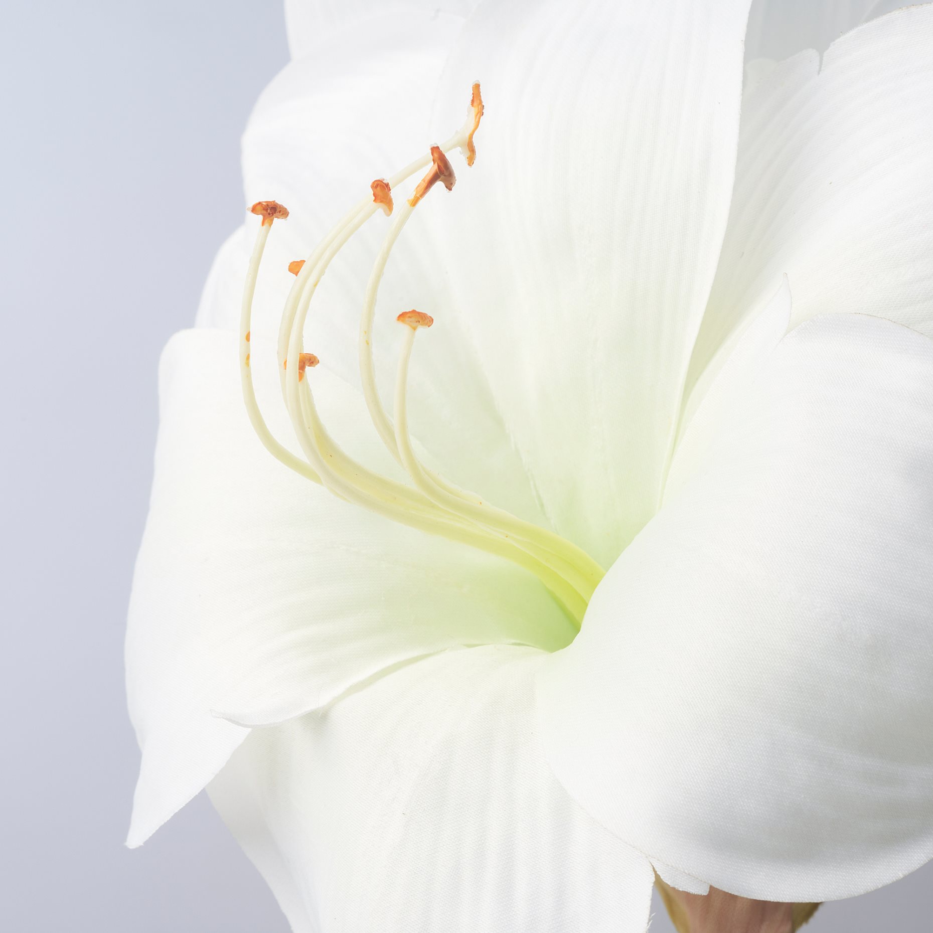 VINTERFINT, τεχνητό λουλούδι/εσωτερικού/εξωτερικού χώρου/Αμαρυλλίς, 60 cm, 505.621.54