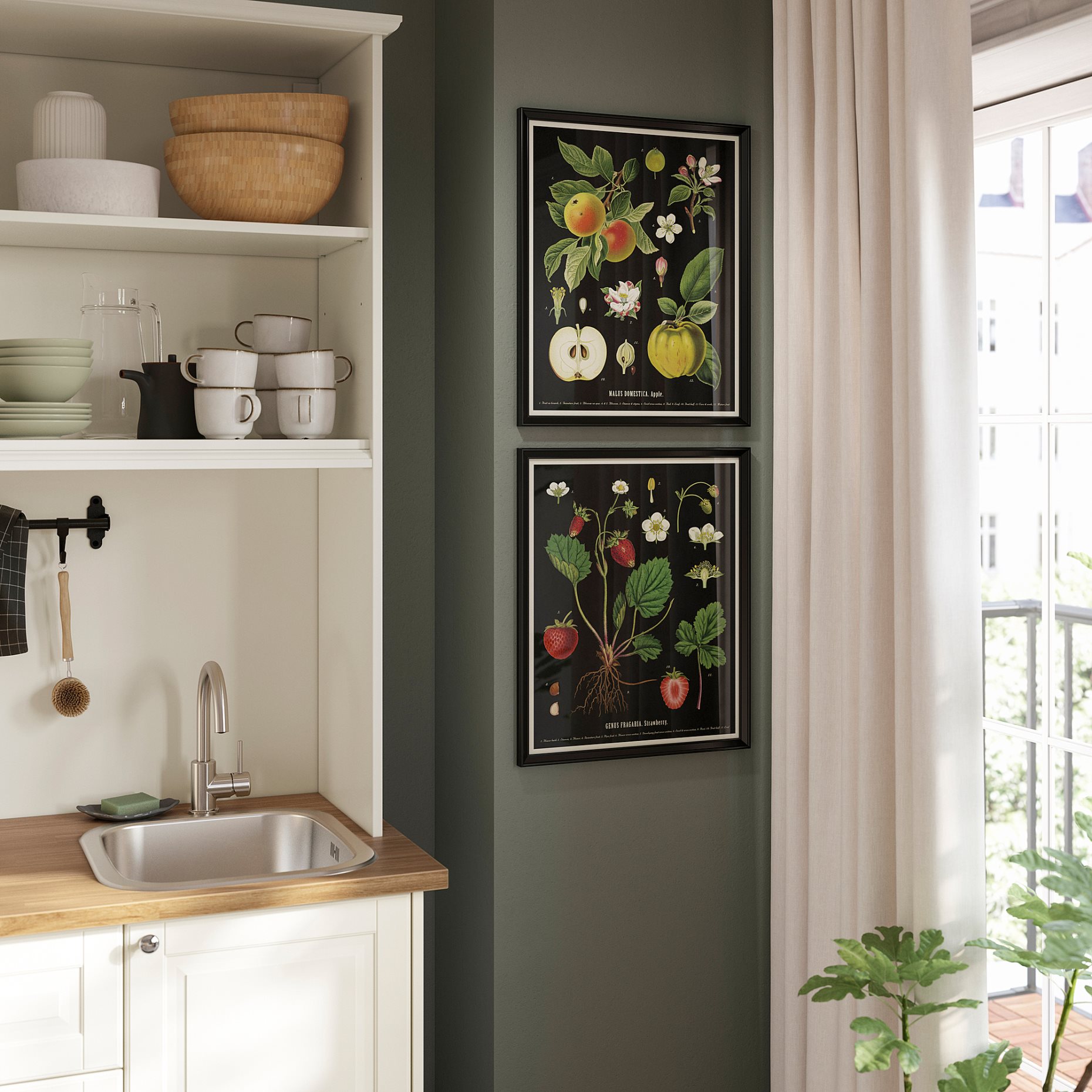 KNOPPÄNG, frame with poster/vintage botanical fruit charts, 40x50 cm, 505.788.95