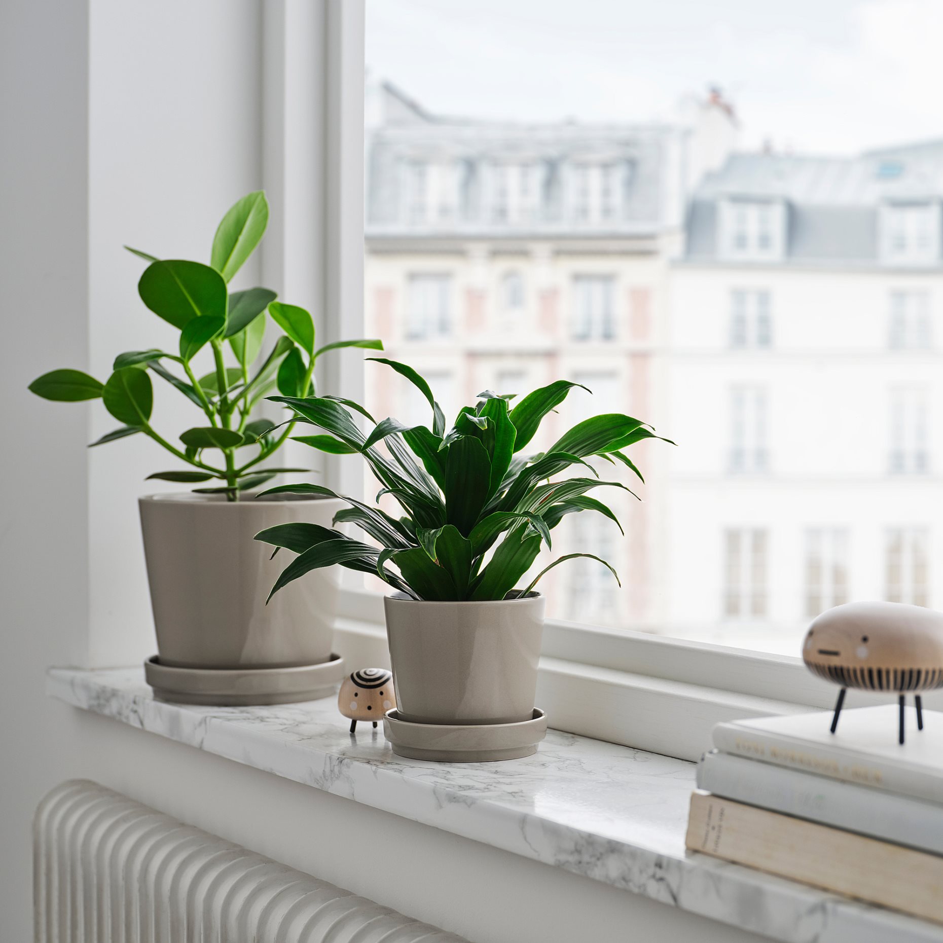 KLOTLÖNN, plant pot with saucer/in/outdoor, 15 cm, 505.840.09