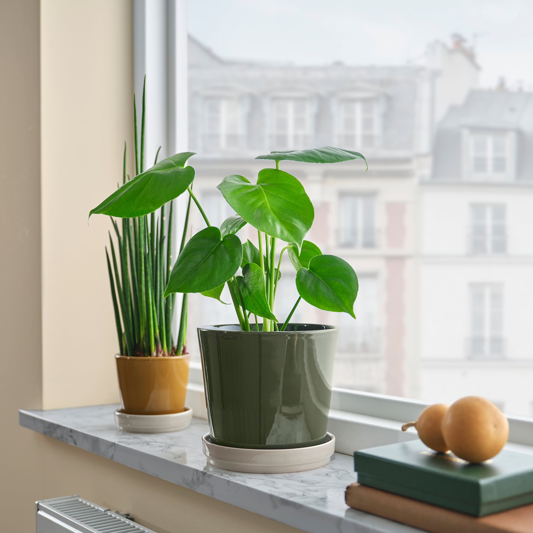 KLOTLÖNN, plant pot with saucer in/outdoor, 9 cm, 505.982.71