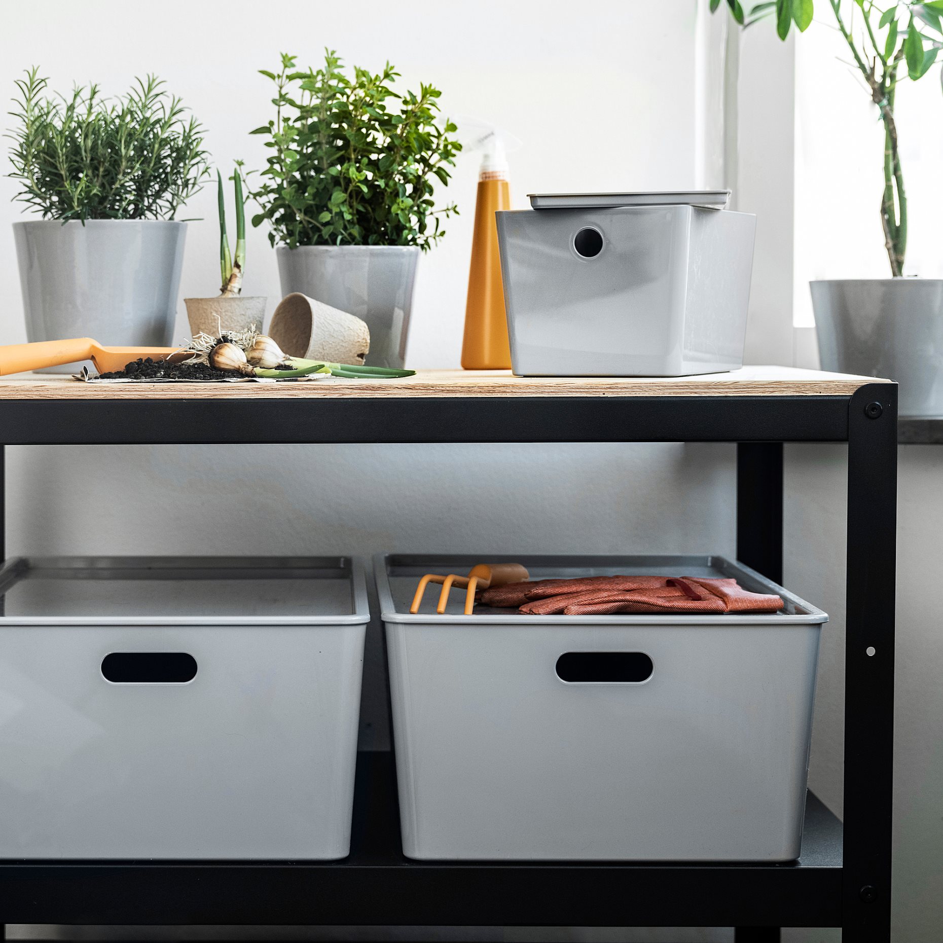 KUGGIS, lid, 37x54 cm, 505.991.57