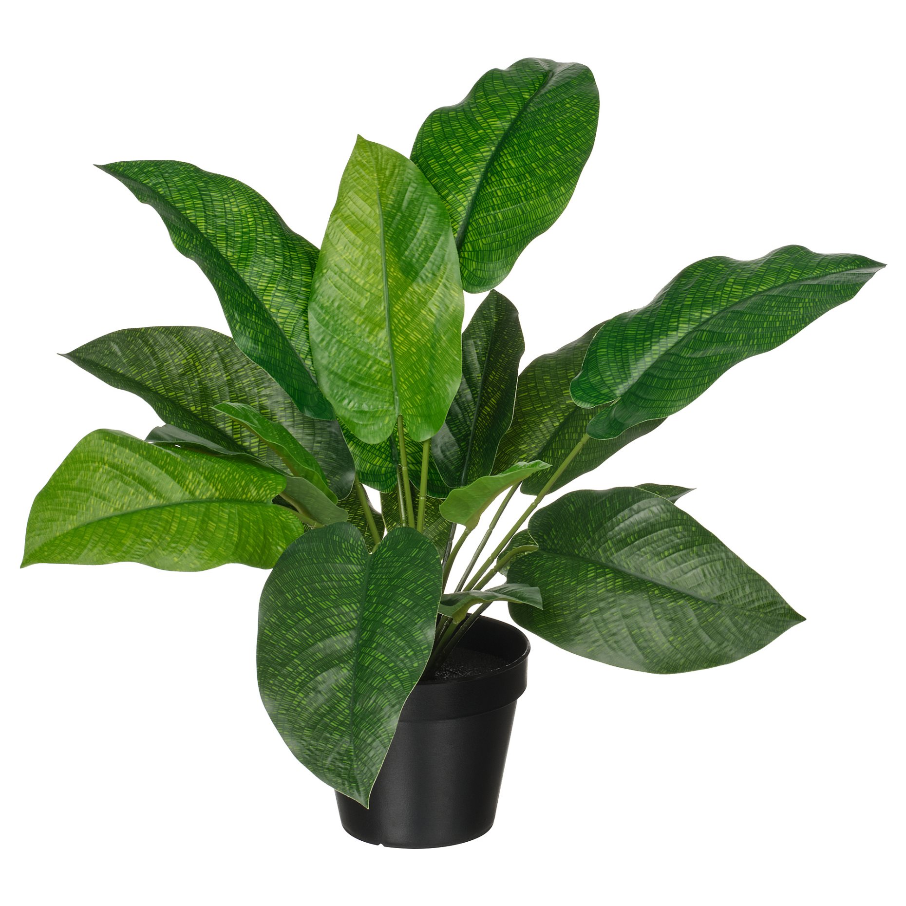 FEJKA, artificial potted plant in/outdoor/calathea, 12 cm, 506.008.63