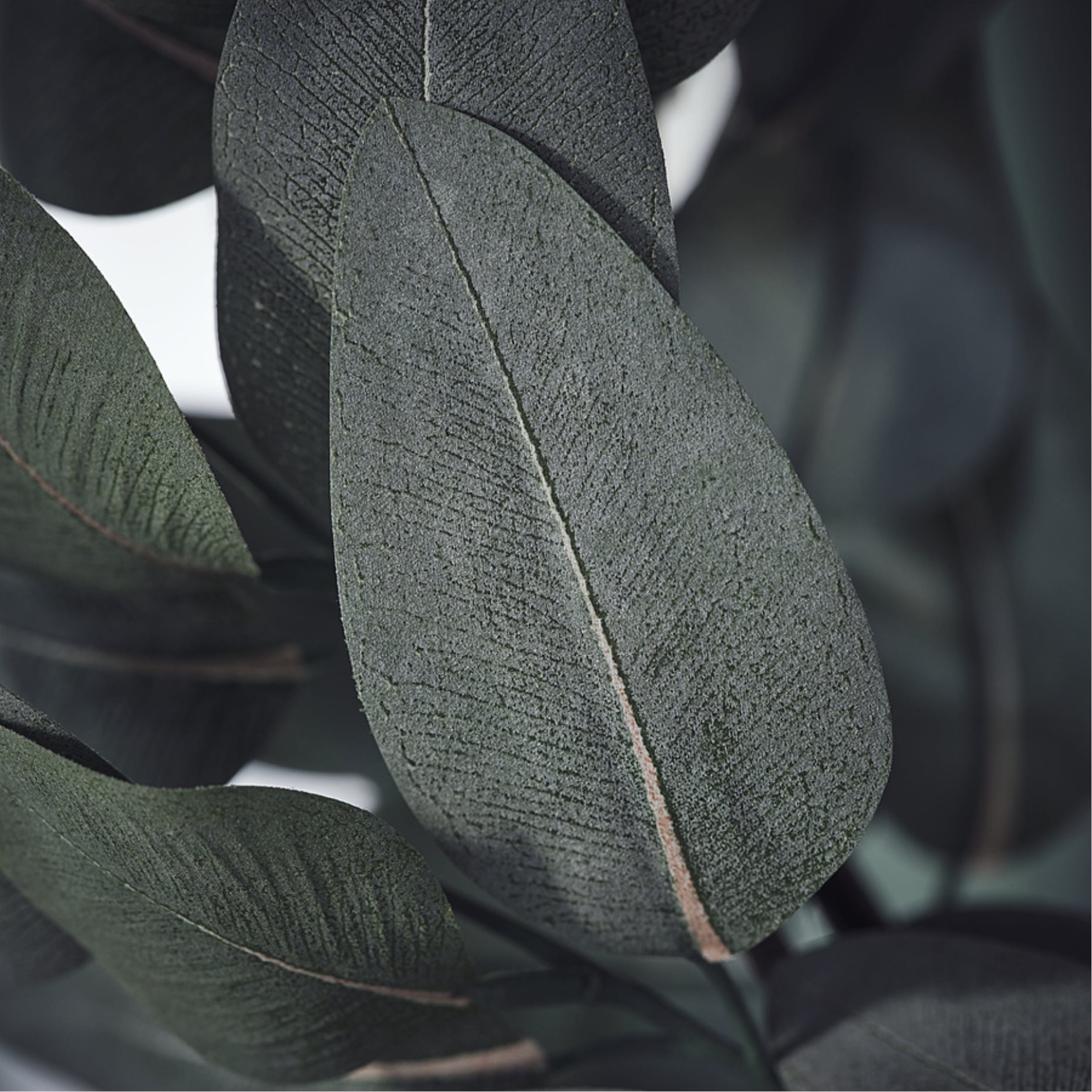 SMYCKA, artificial wreath in/outdoor/eucalyptus, 45 cm, 506.373.38