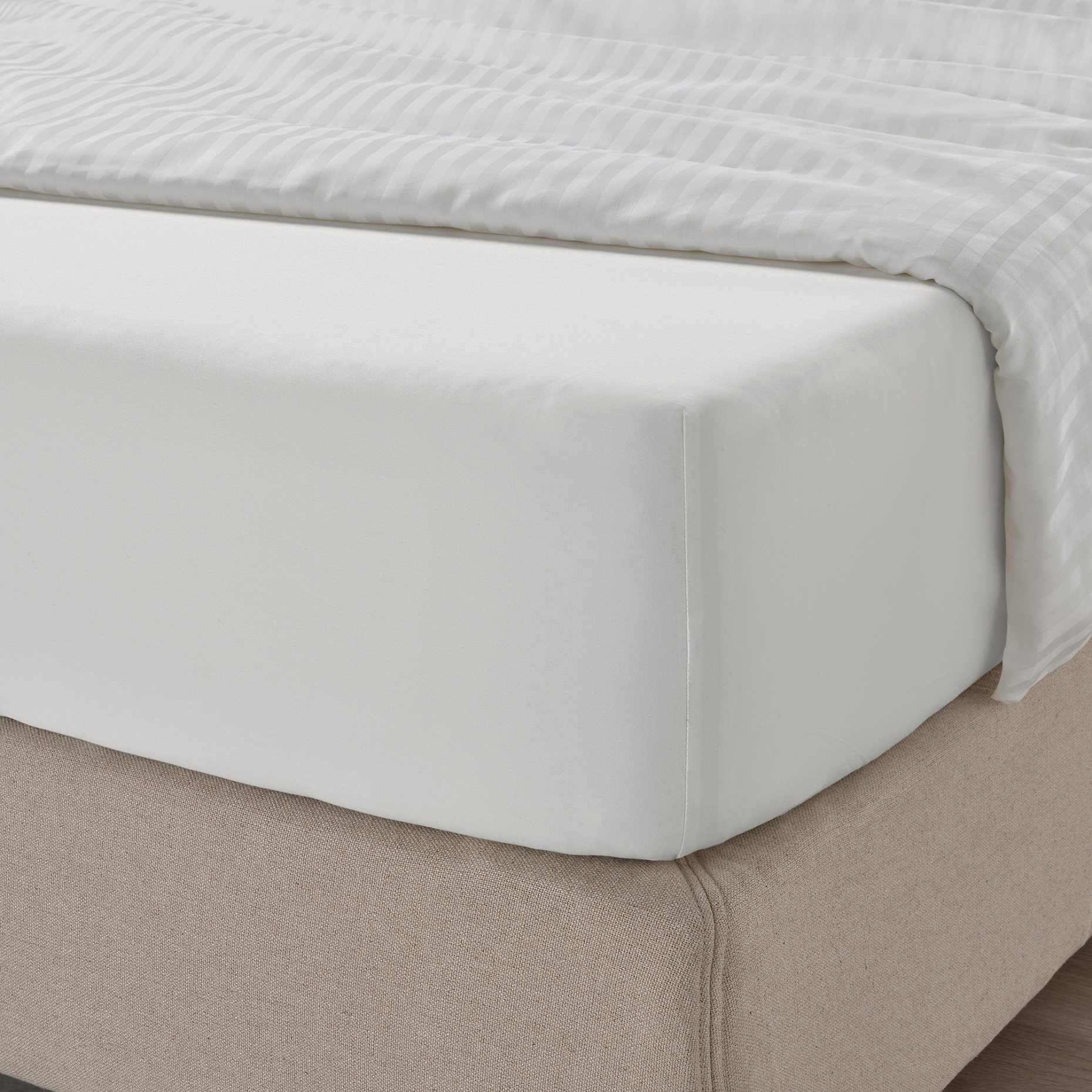 NATTJASMIN, fitted sheet, 603.437.07
