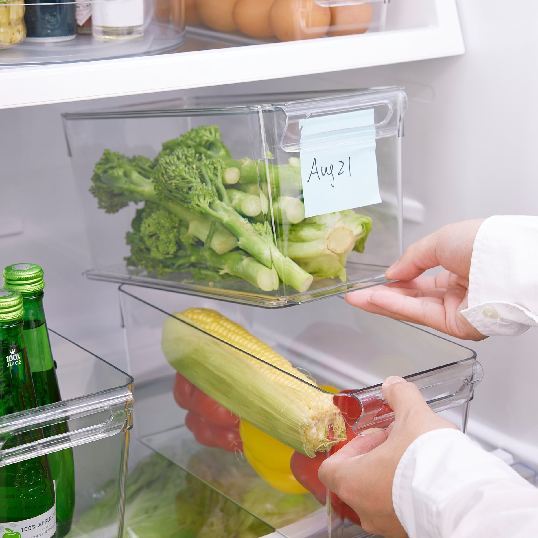 KLIPPKAKTUS, storage box for fridge, 32x14x15 cm, 605.688.86