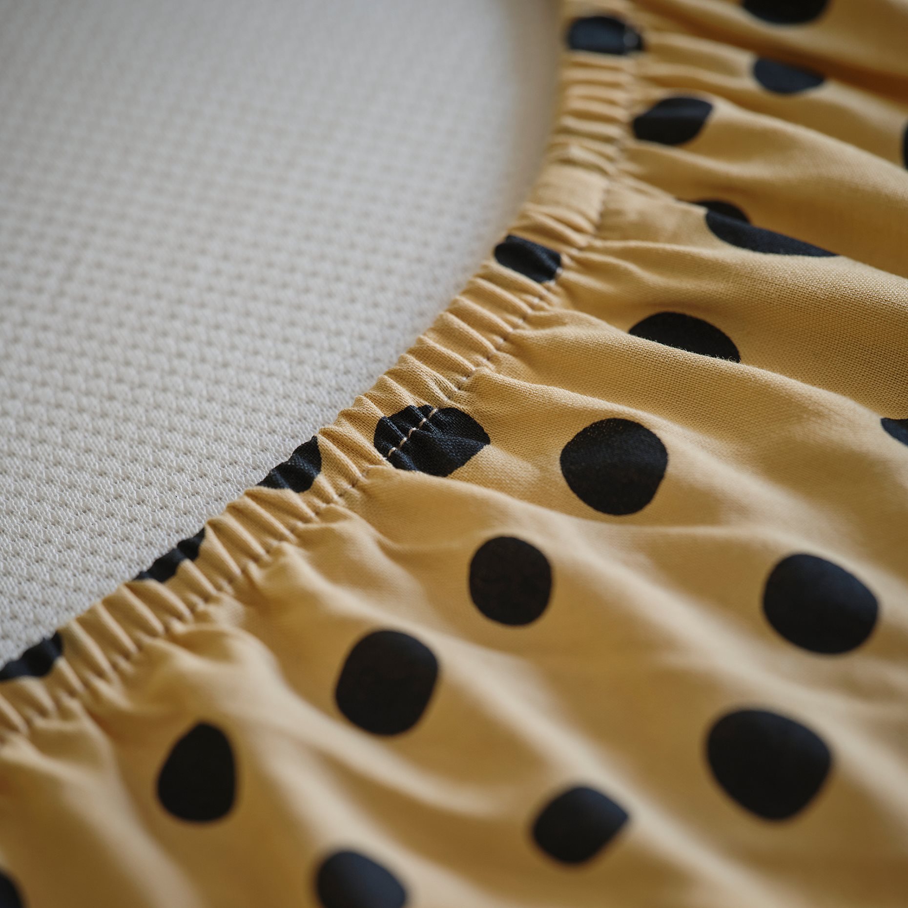 SANDLÖPARE, fitted sheet, 90x200 cm, 605.946.30